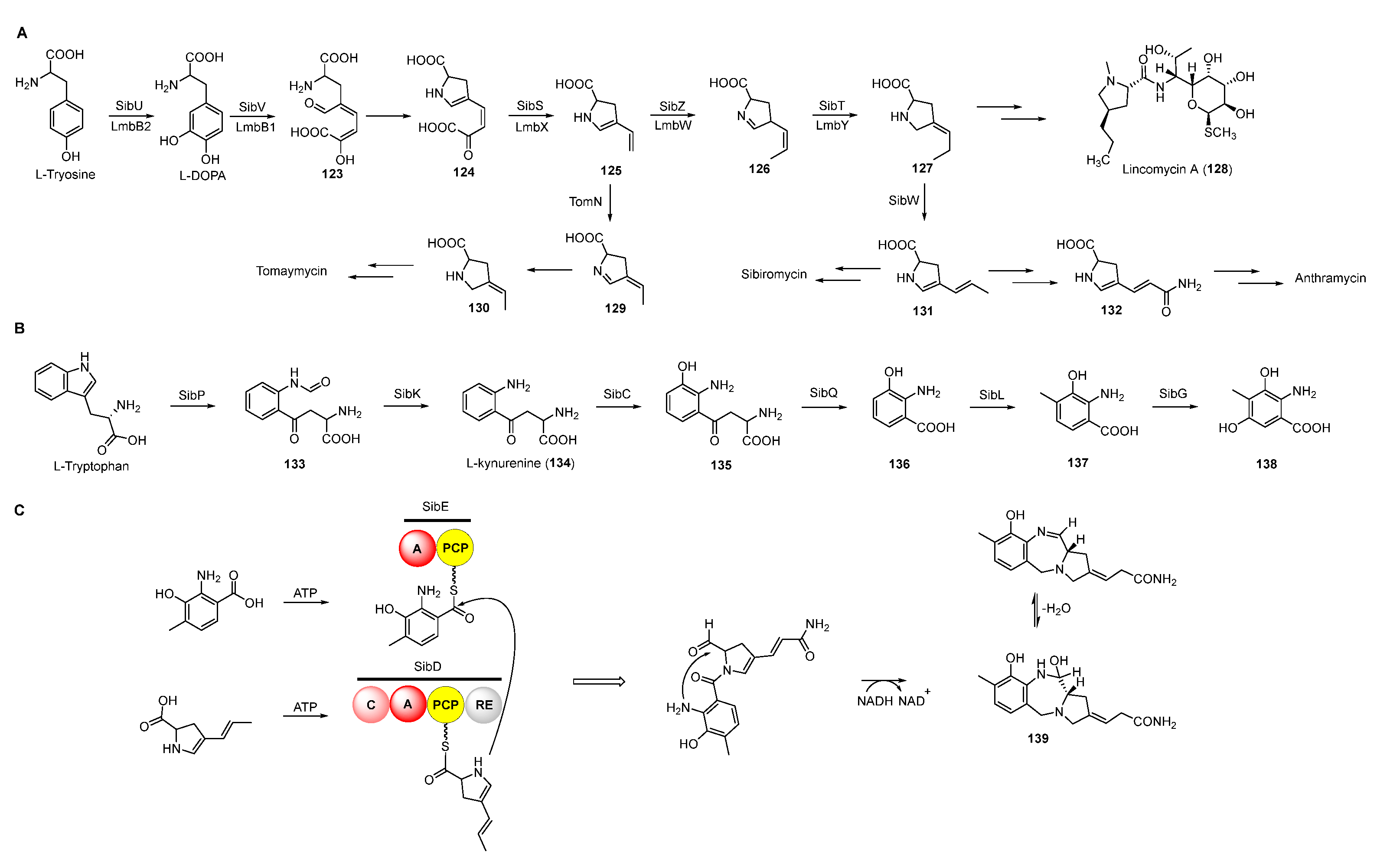 Molecules 27 06387 g016