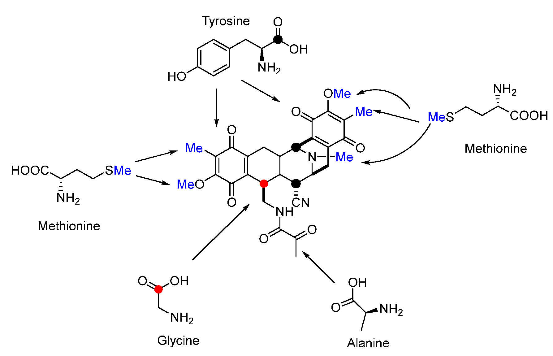 Molecules 27 06387 g018