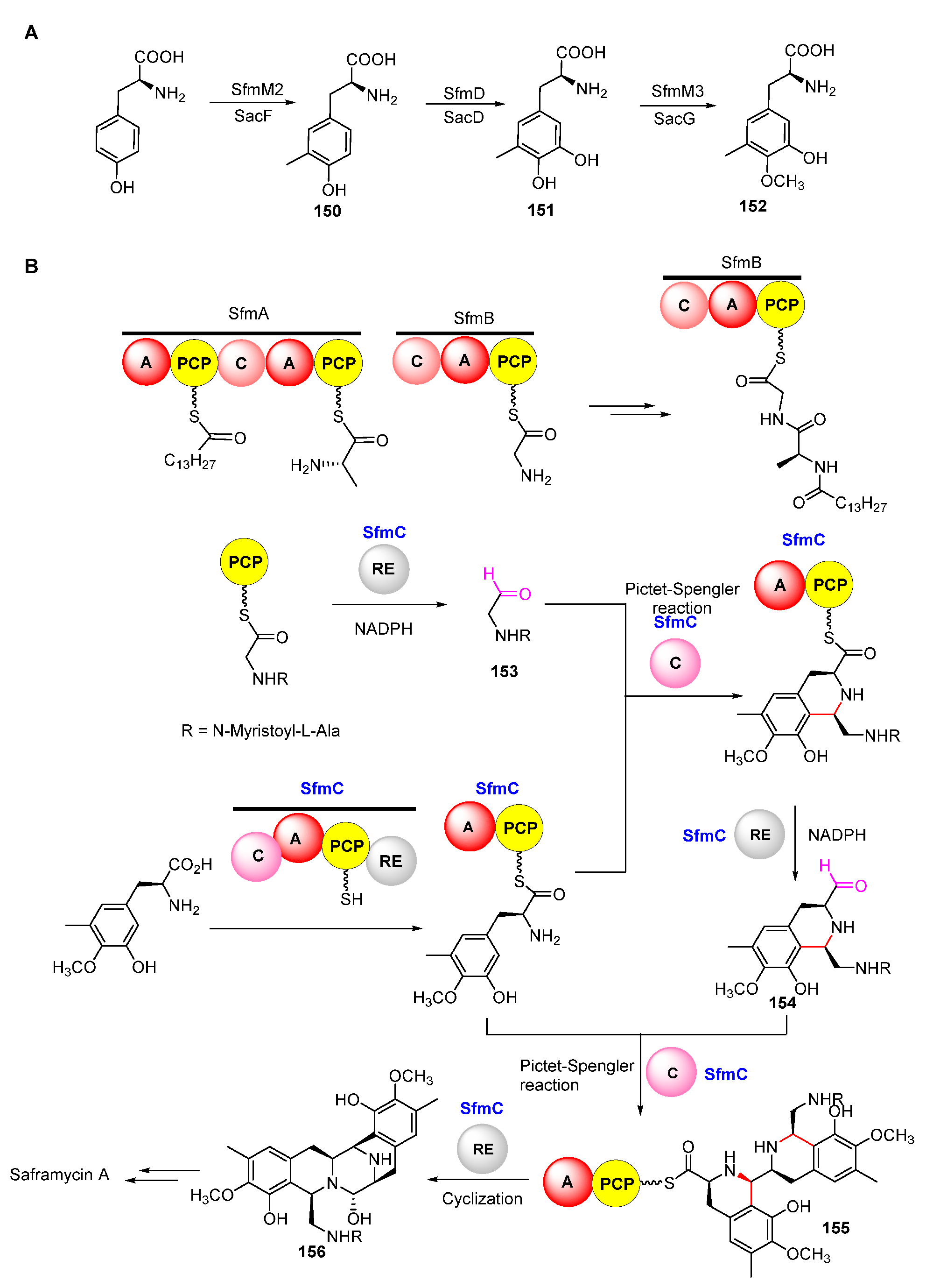Molecules 27 06387 g019