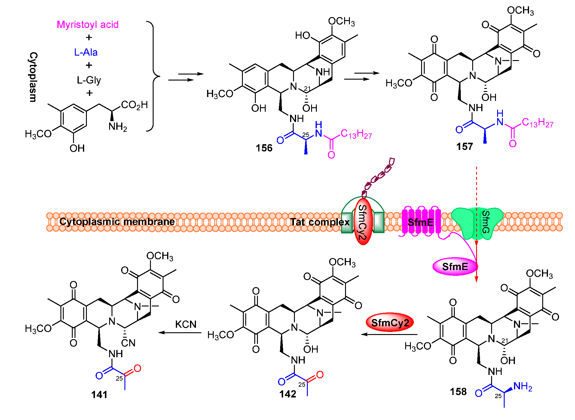 Molecules 27 06387 g020