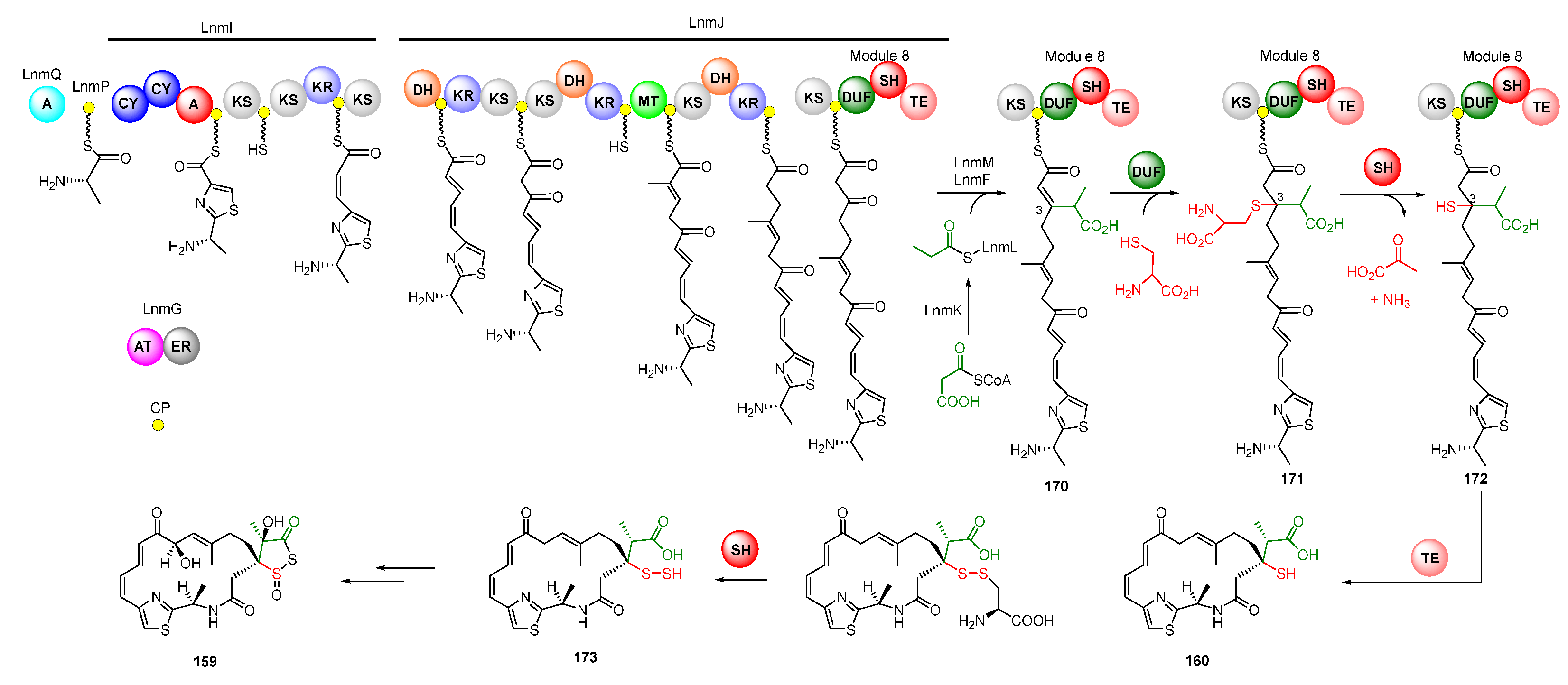 Molecules 27 06387 g022