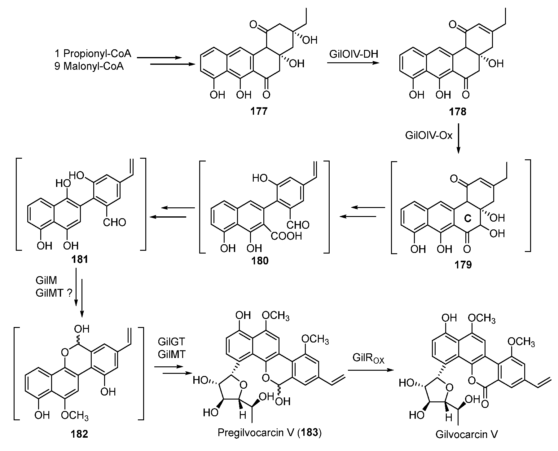 Molecules 27 06387 g024