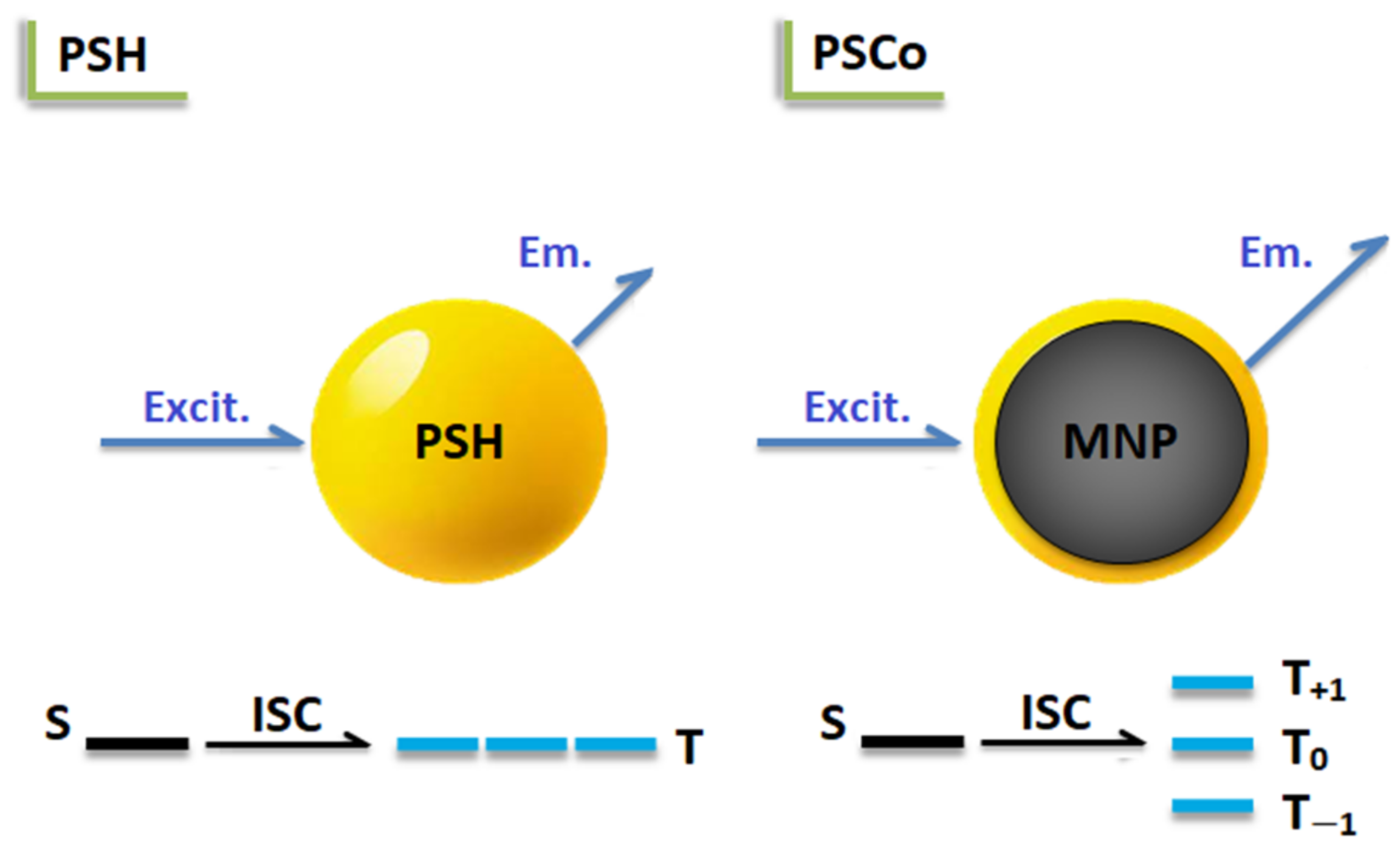 Molecules 27 06393 g008