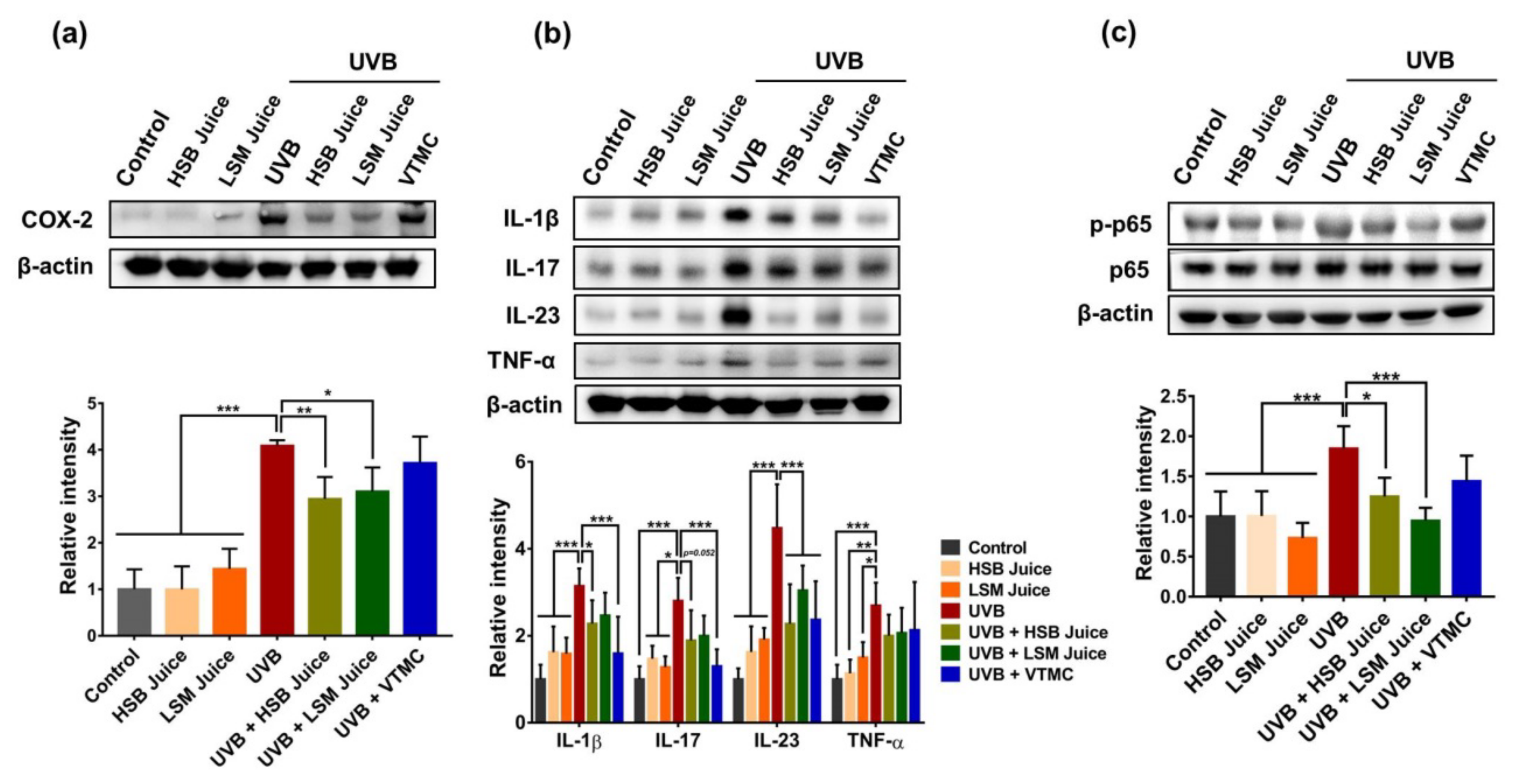 Molecules 27 06394 g003