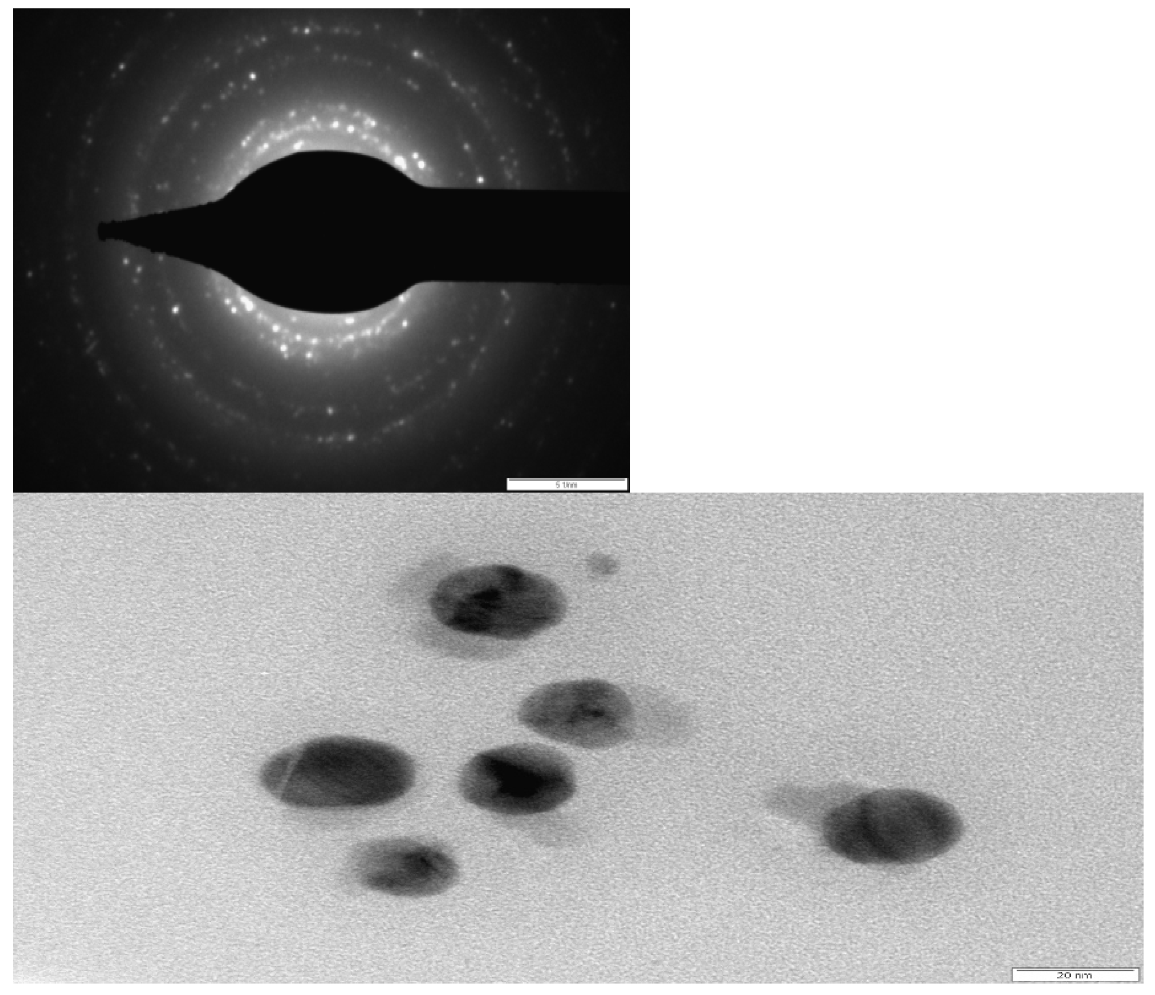 Molecules 27 06404 g004 Molecules 27 06404 g004