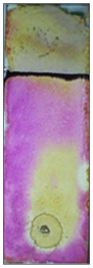 Molecules 27 06404 g008 Molecules 27 06404 g008