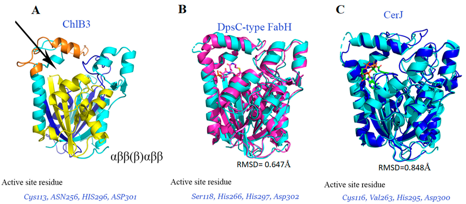Molecules 27 06405 g003 Molecules 27 06405 g003
