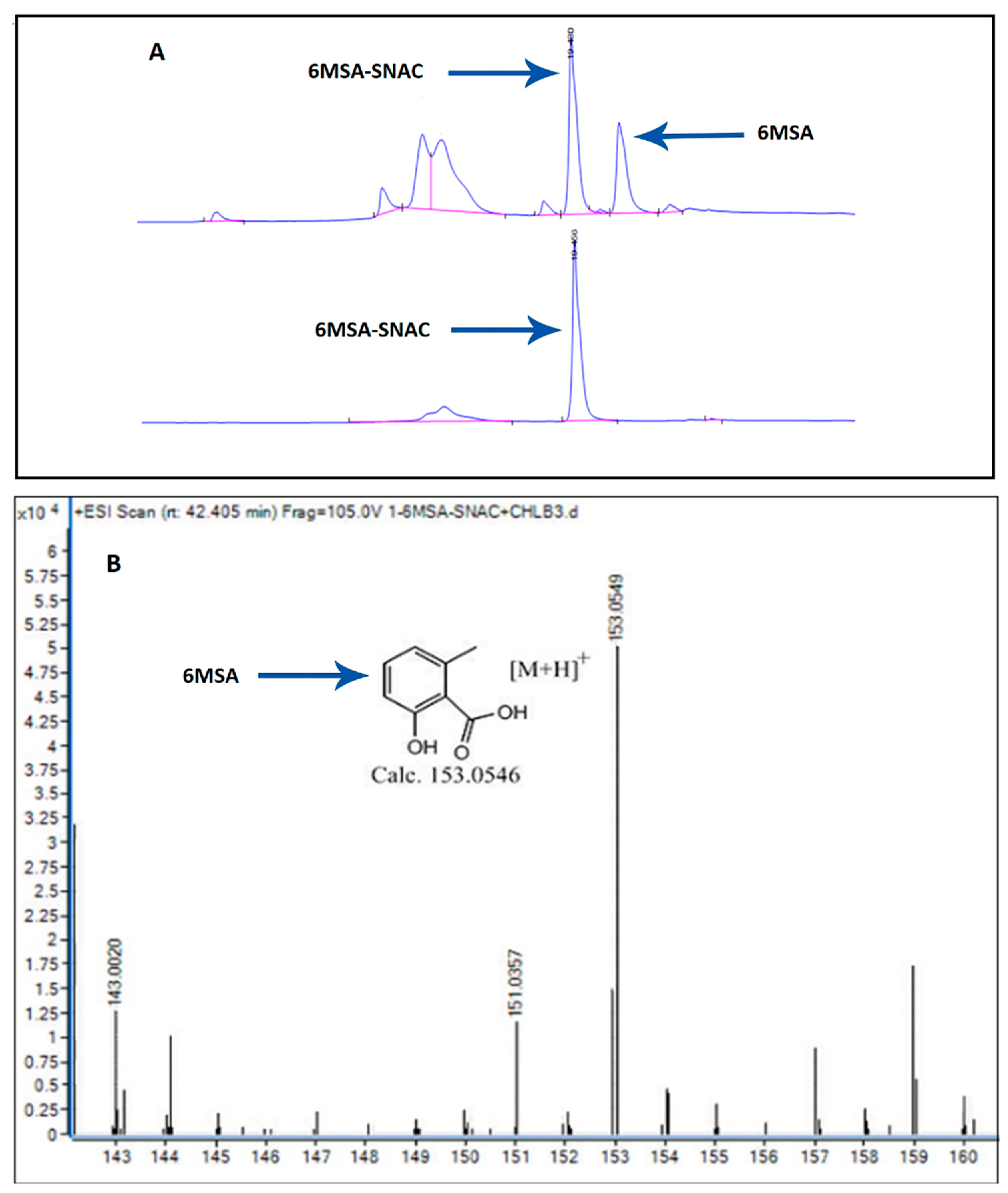 Molecules 27 06405 g005 Molecules 27 06405 g005