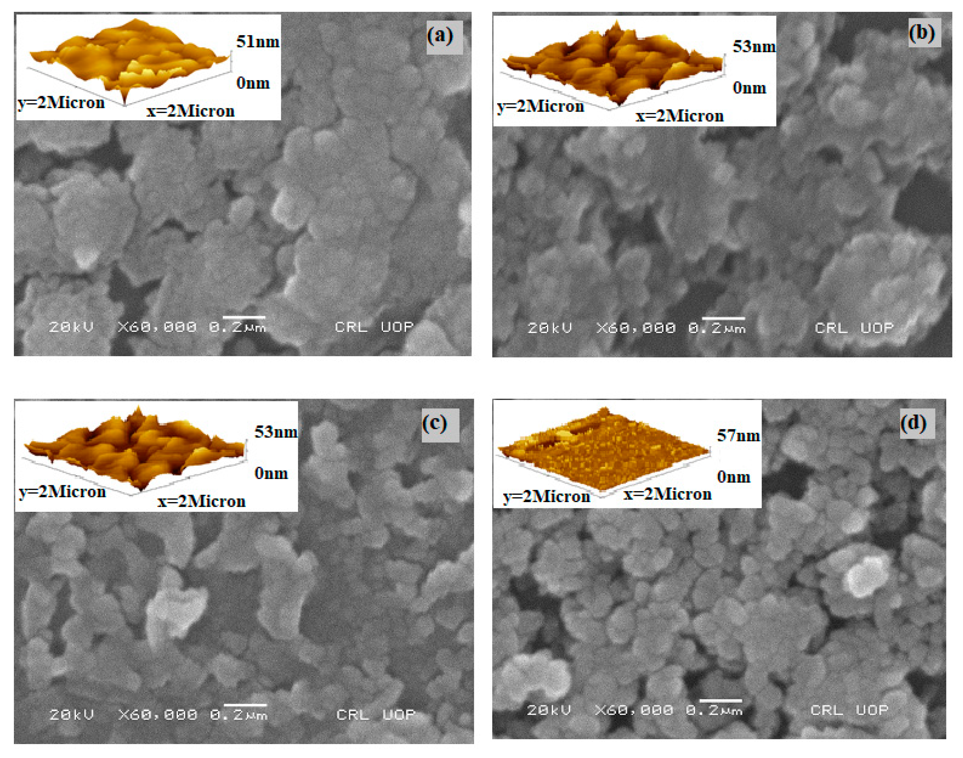 Molecules 27 06419 g003
