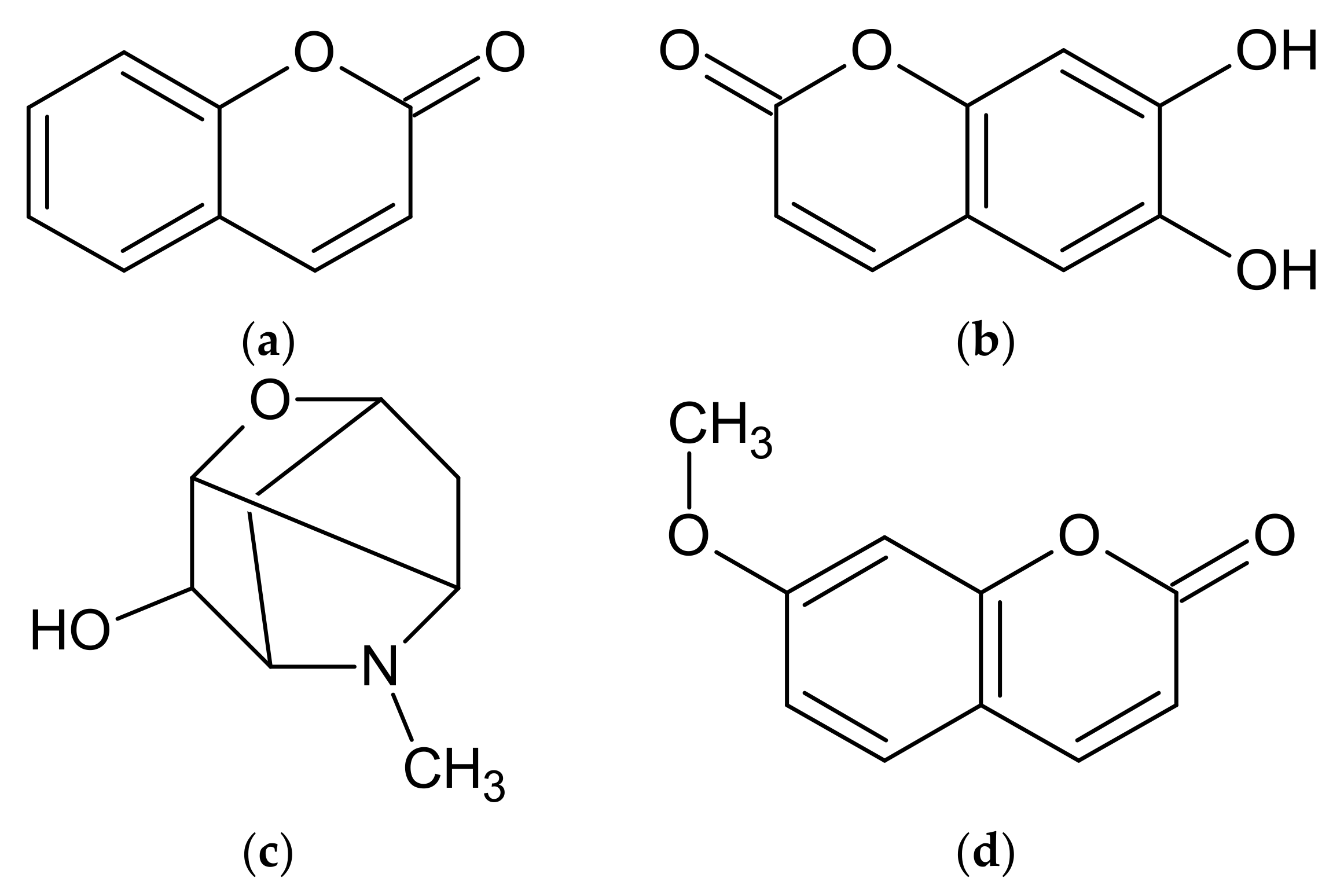Molecules 27 06427 g003 Molecules 27 06427 g003