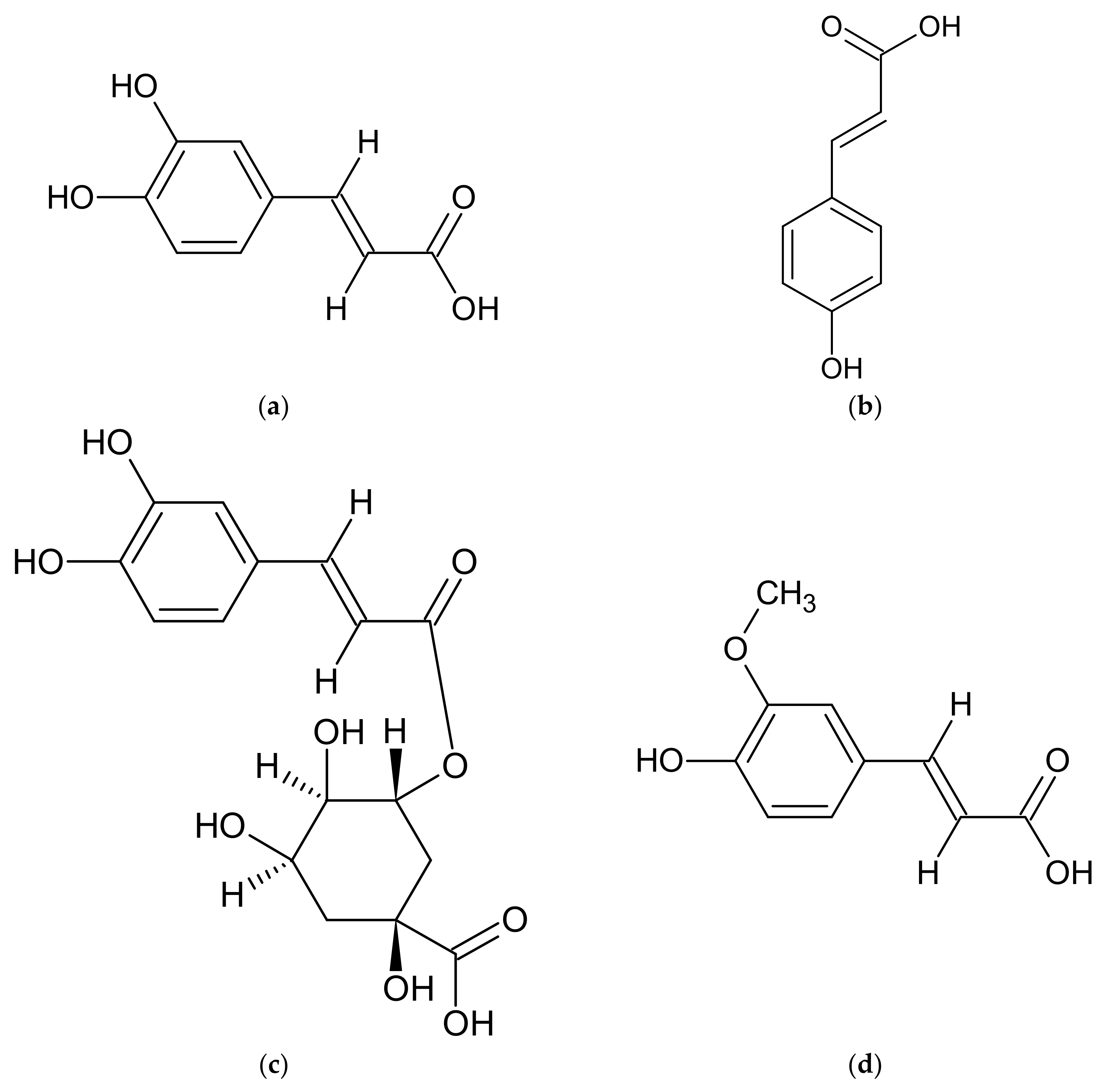 Molecules 27 06427 g004 Molecules 27 06427 g004