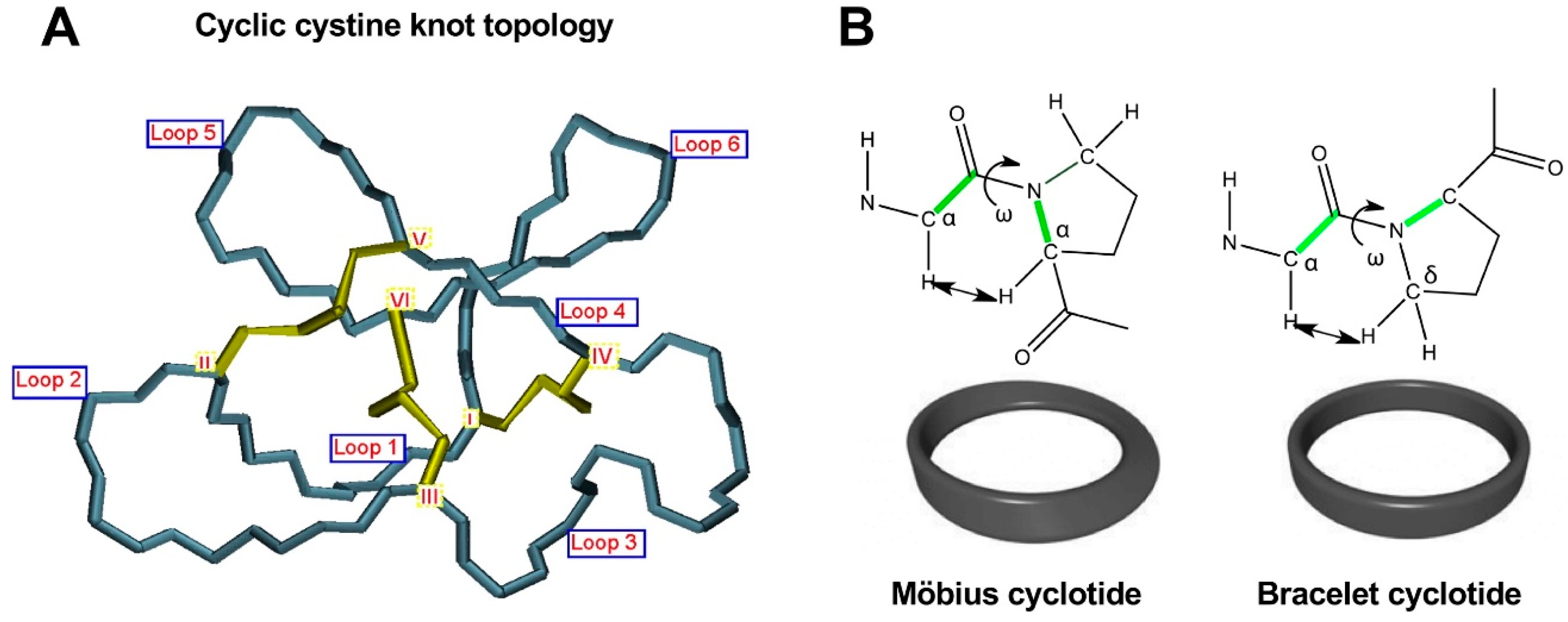 Molecules Free FullText Using the Cyclotide Scaffold for Targeting Biomolecular