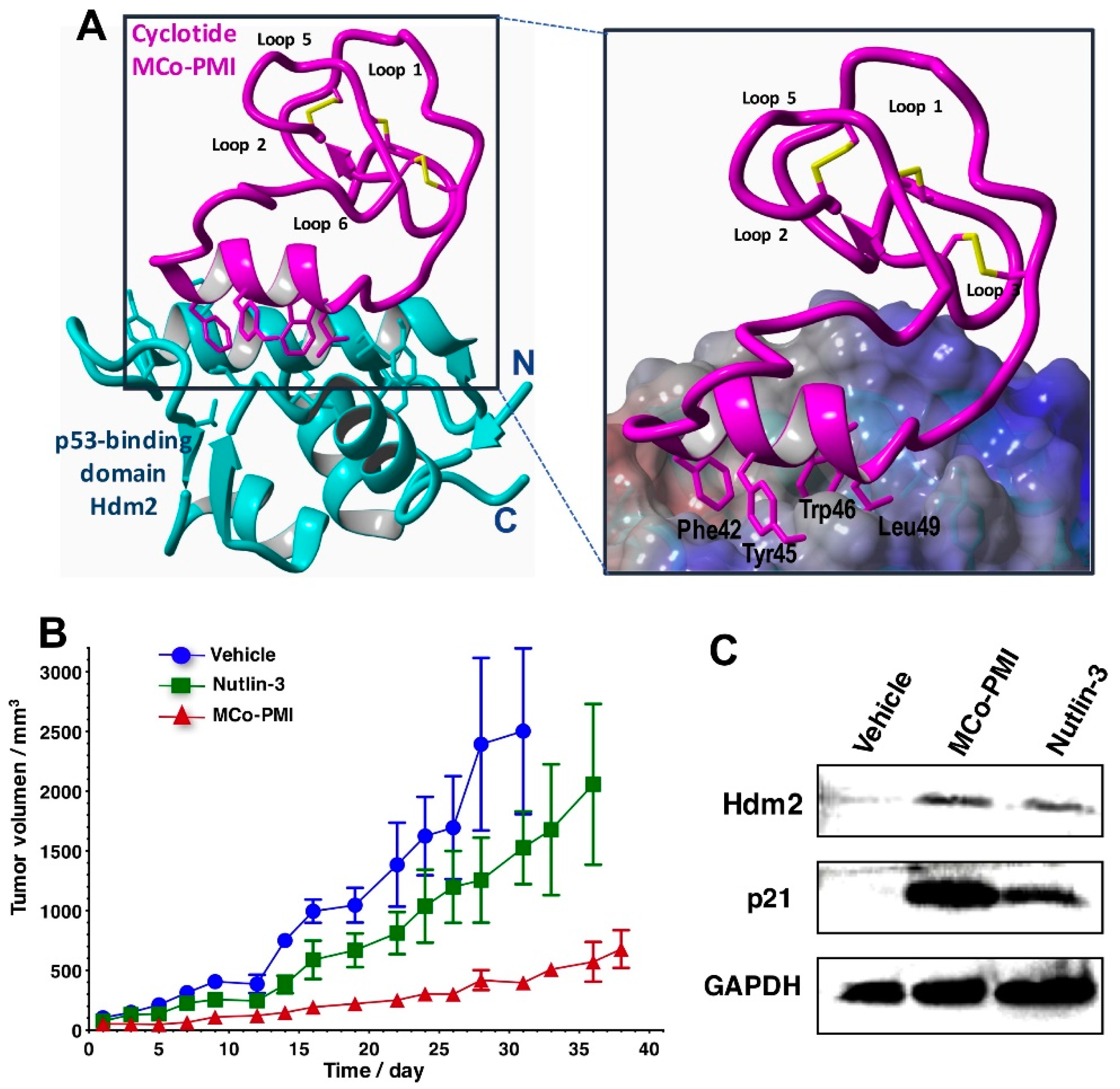 Molecules 27 06430 g005 Molecules 27 06430 g005