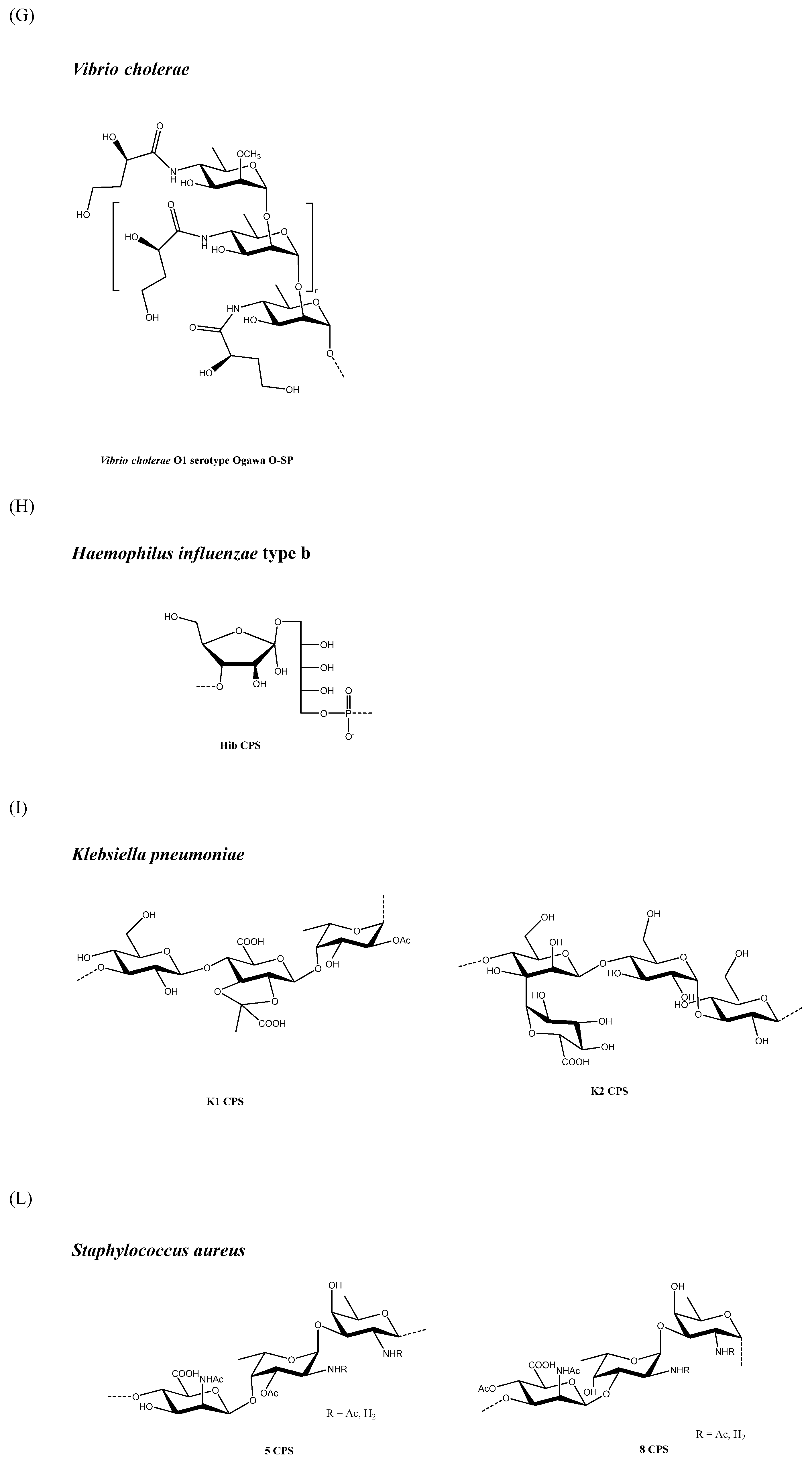 Molecules 27 06432 g001c Molecules 27 06432 g001c