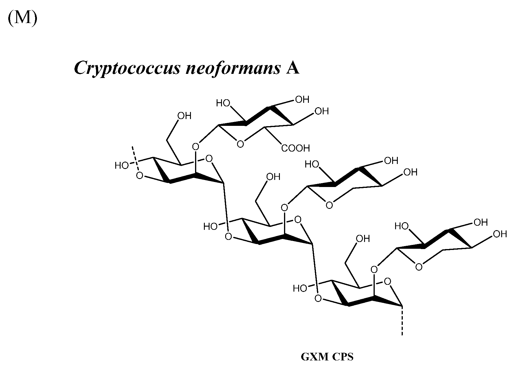 Molecules 27 06432 g001d Molecules 27 06432 g001d