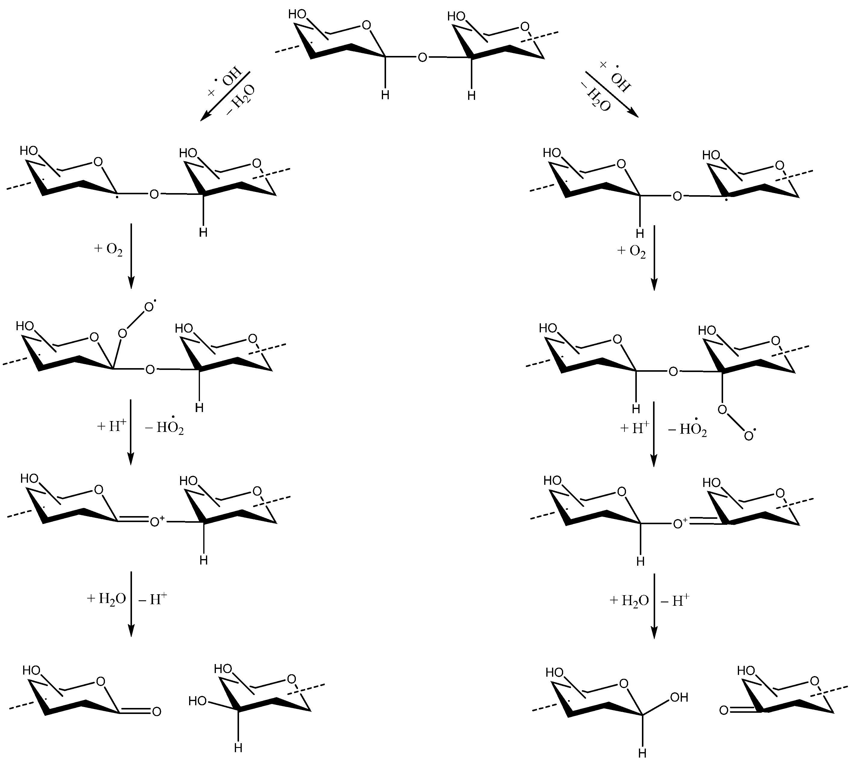 Molecules 27 06432 sch002 Molecules 27 06432 sch002