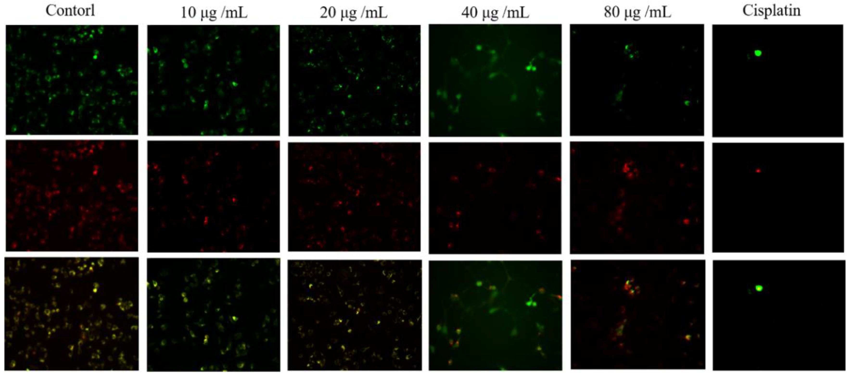Molecules 27 06435 g004 Molecules 27 06435 g004