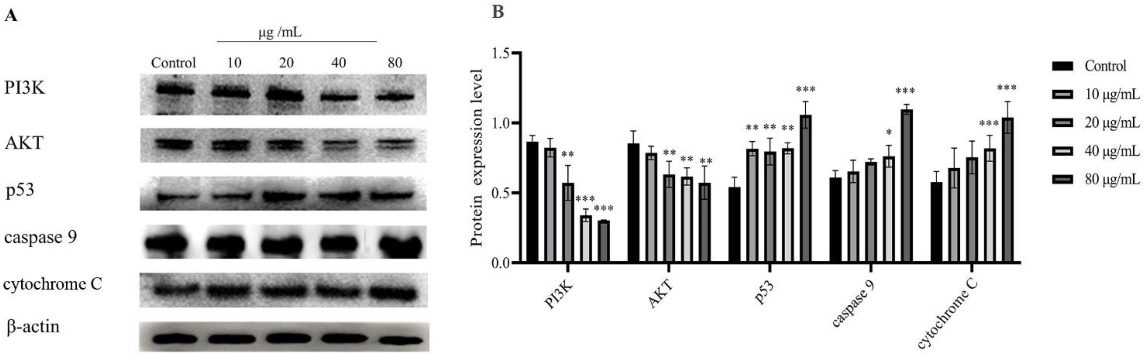 Molecules 27 06435 g006 Molecules 27 06435 g006