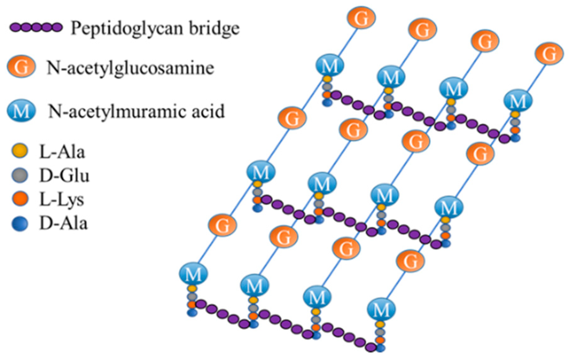 Molecules 27 06440 g007