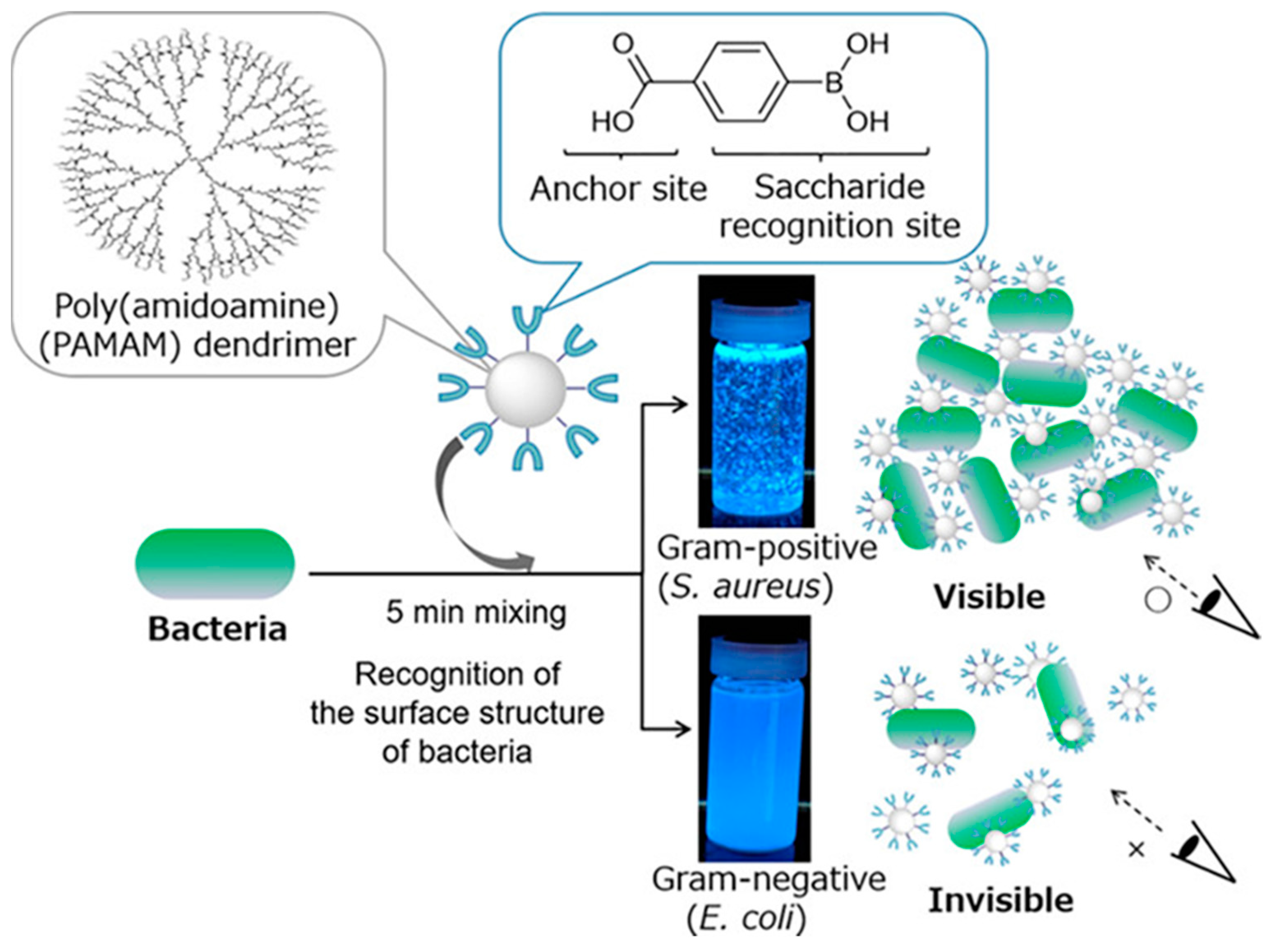 Molecules 27 06440 g011