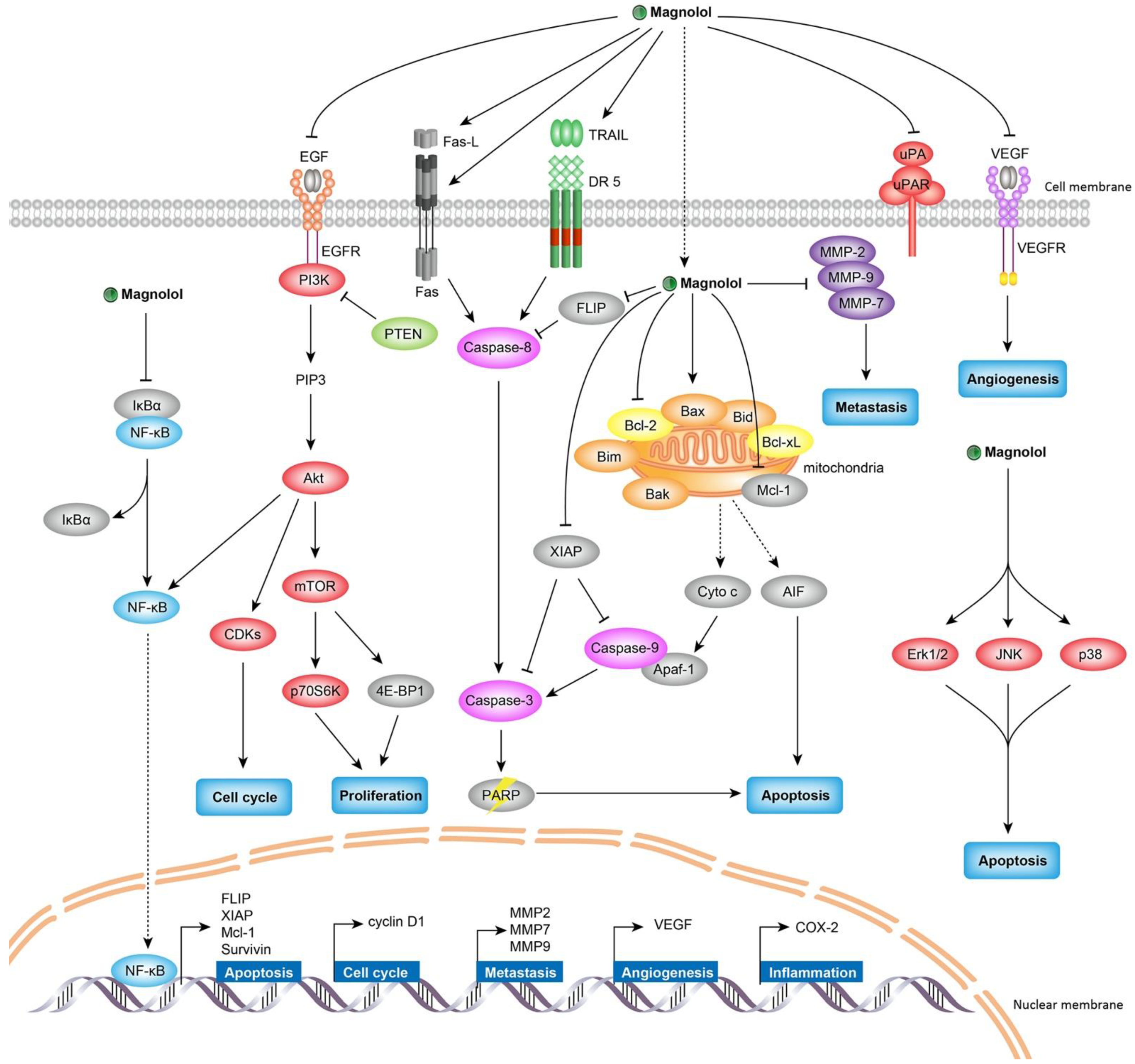 Molecules 27 06441 g002 Molecules 27 06441 g002
