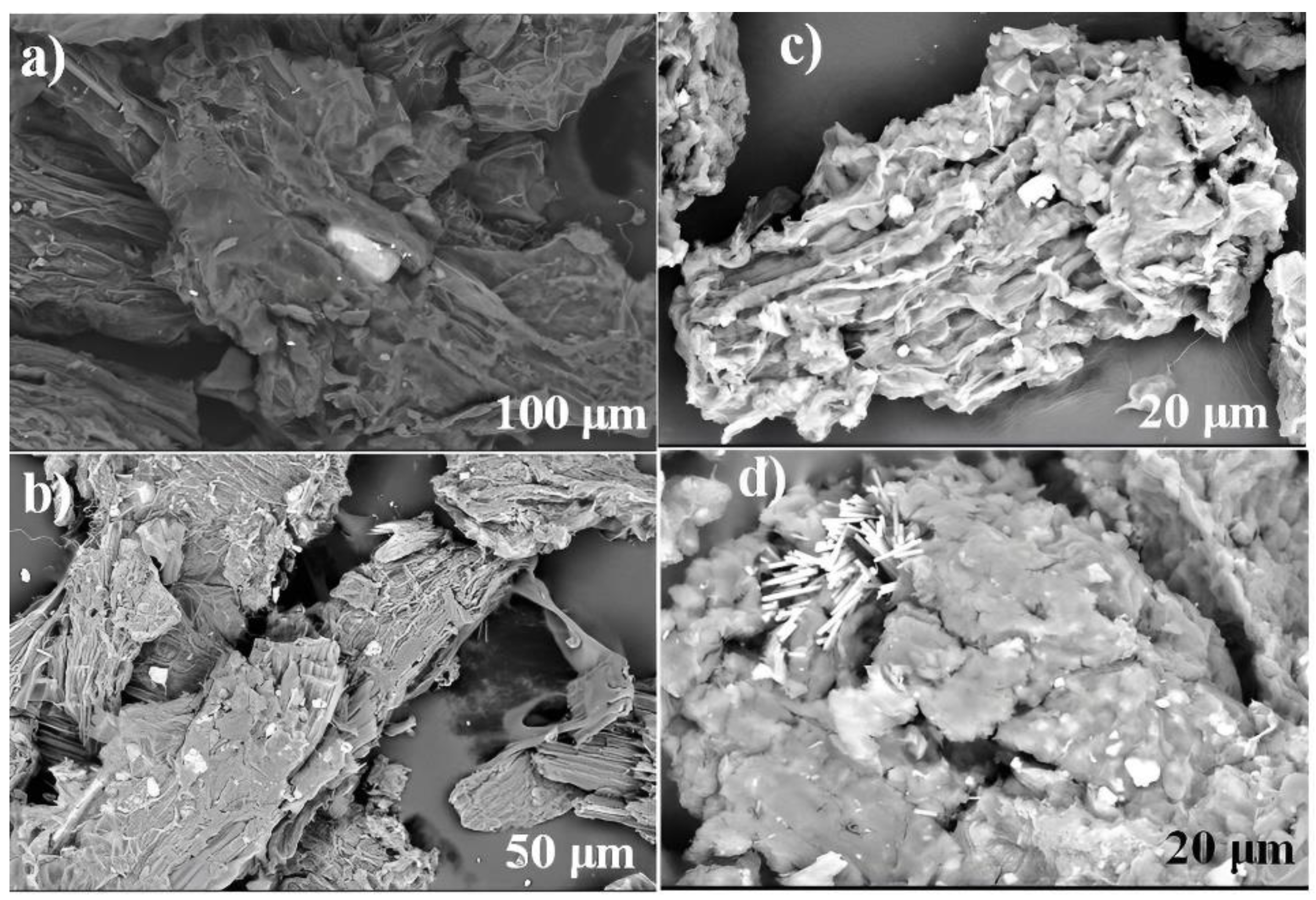 Molecules 27 06442 g007 Molecules 27 06442 g007