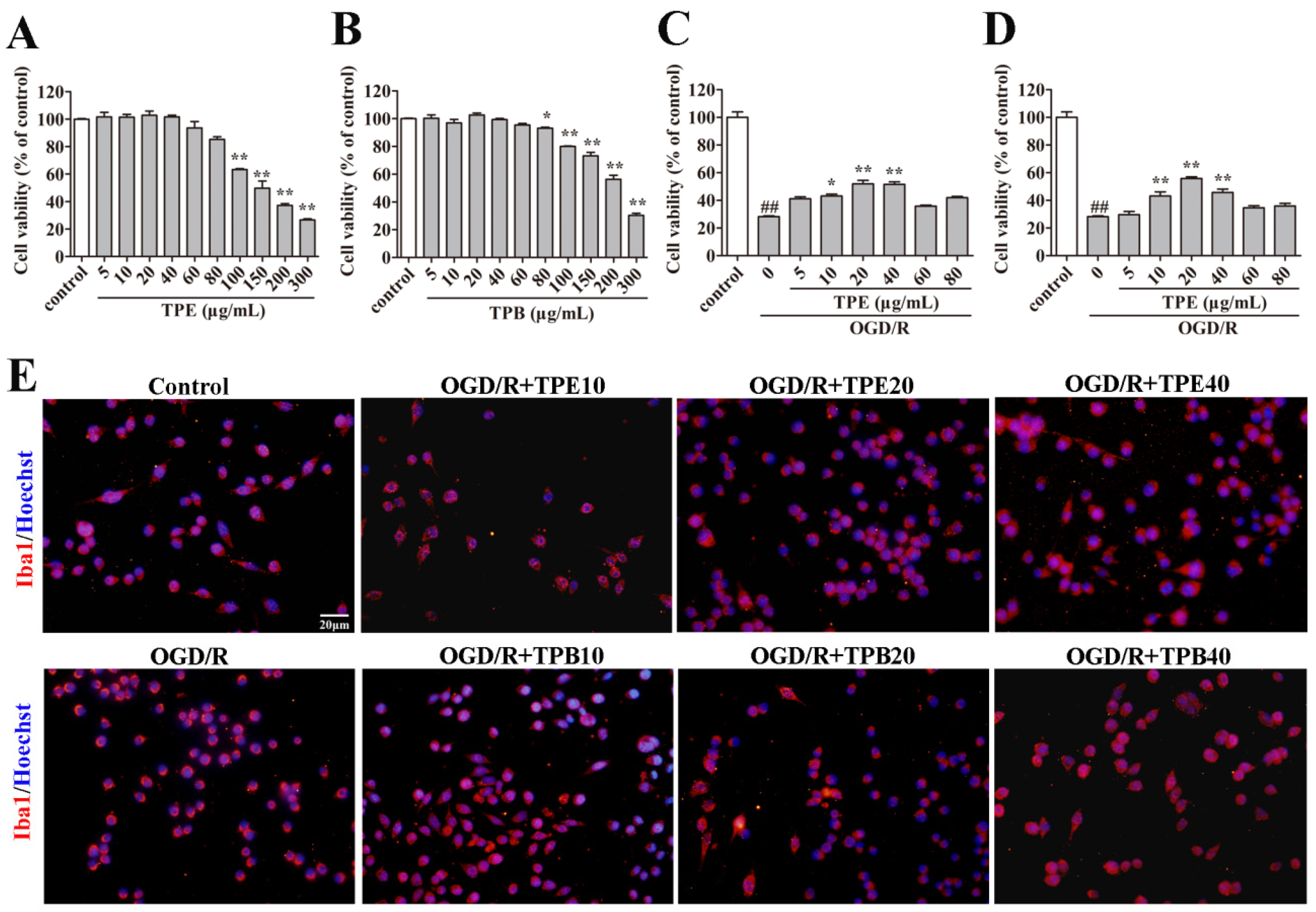 Molecules 27 06449 g002 Molecules 27 06449 g002