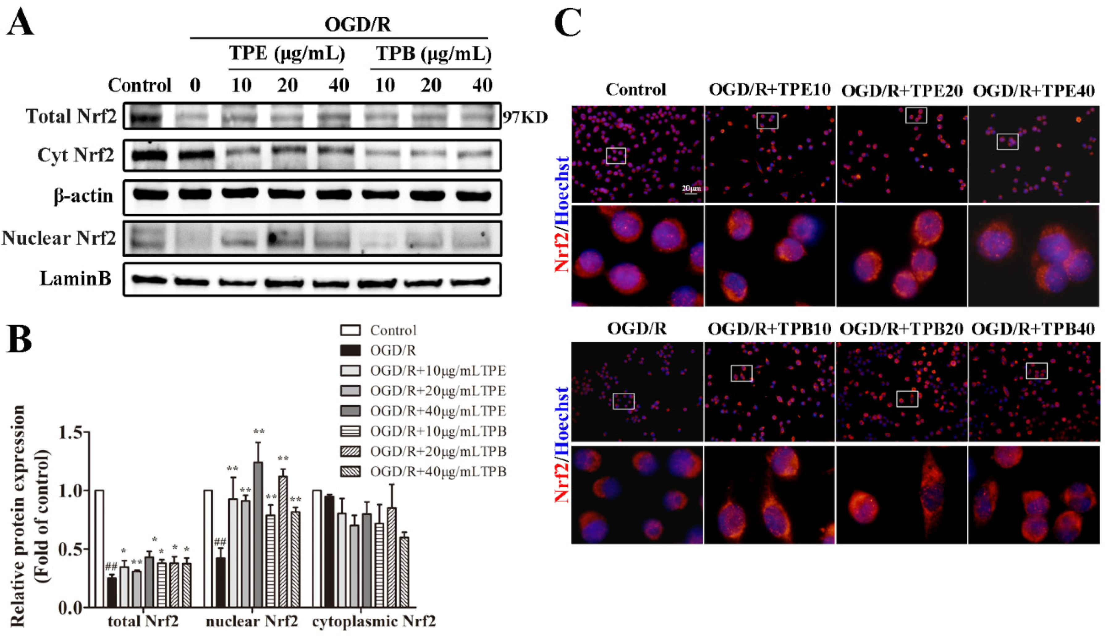 Molecules 27 06449 g005 Molecules 27 06449 g005