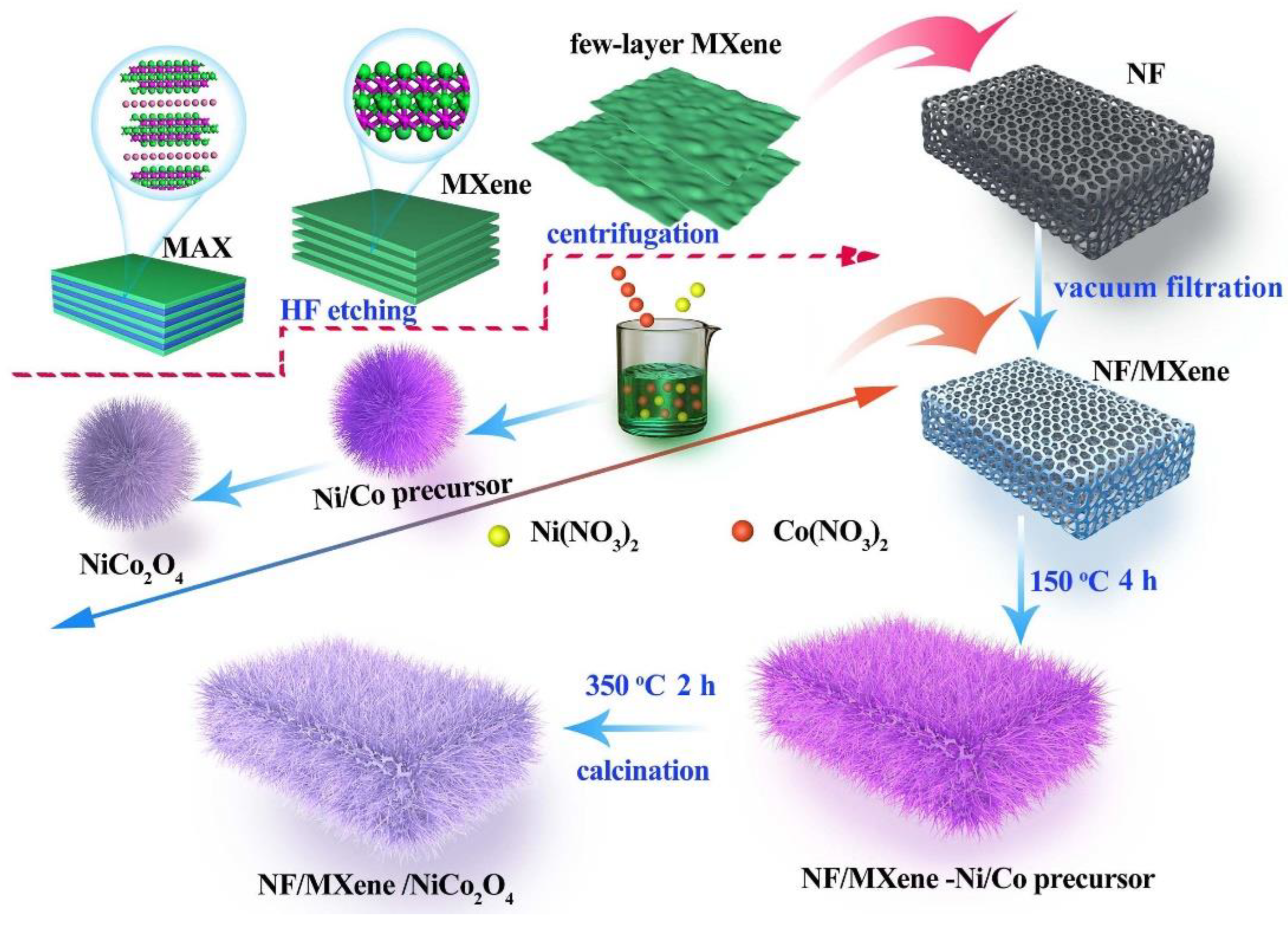 Molecules 27 06452 g001