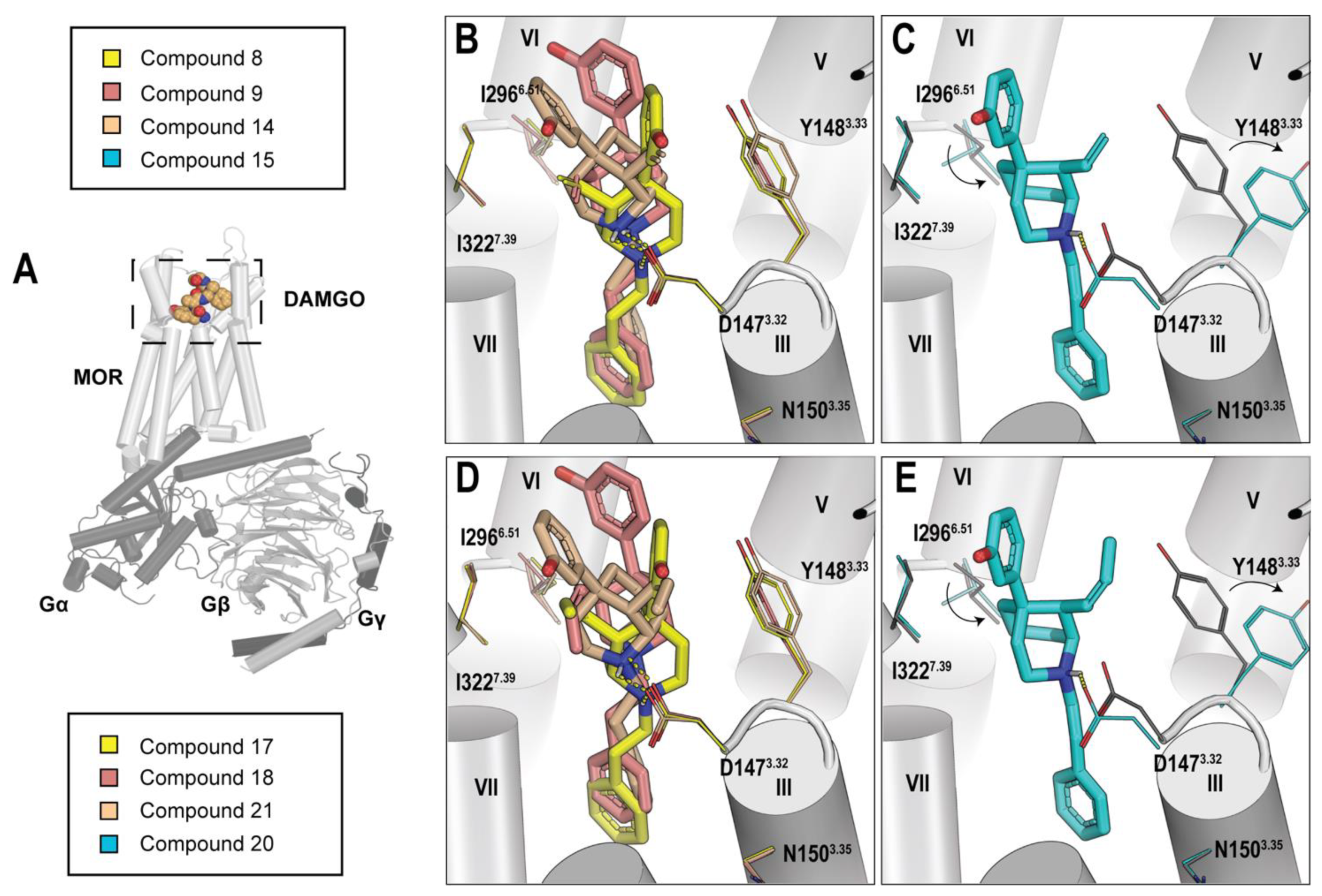 Molecules 27 06455 g003