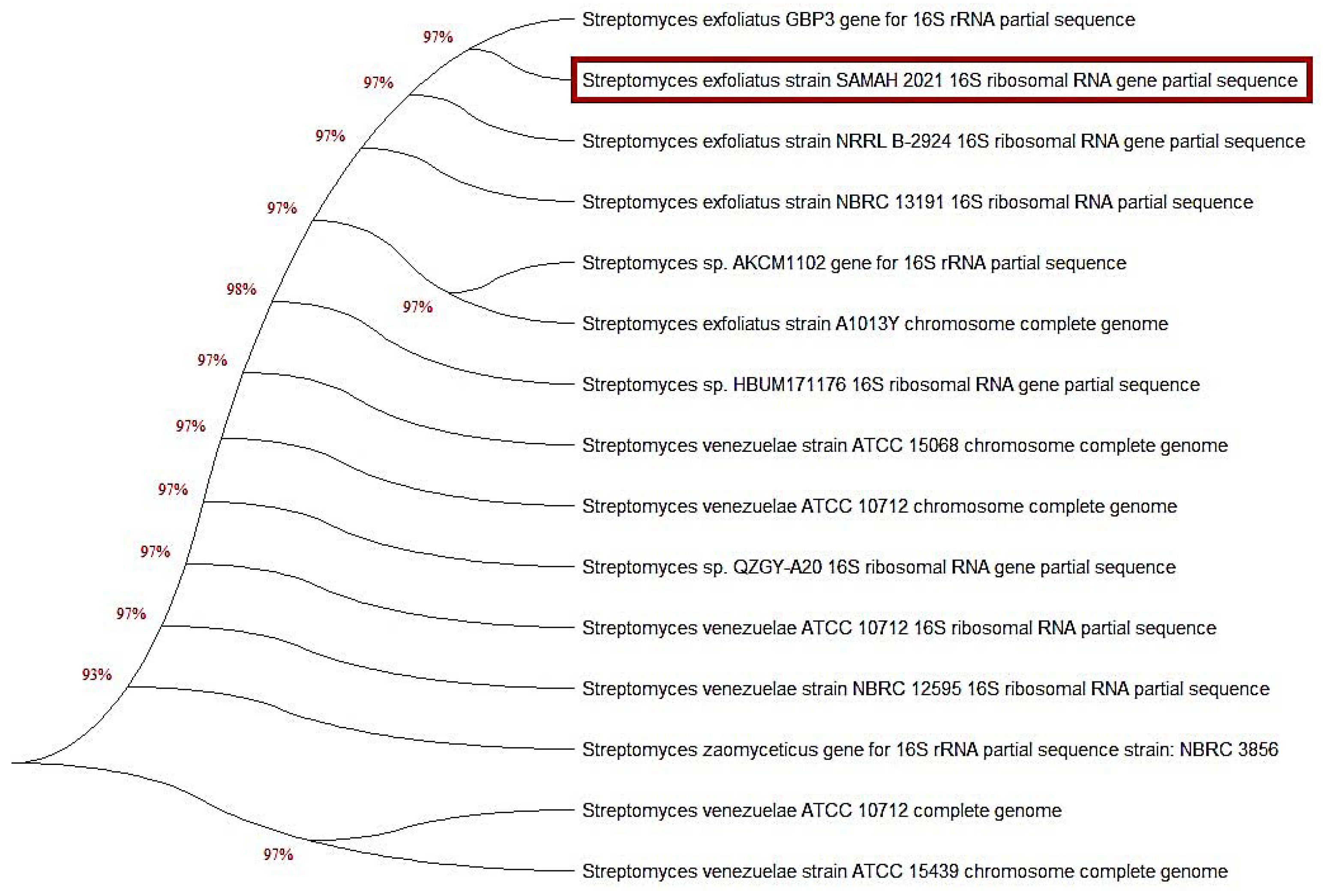 Molecules 27 06456 g002