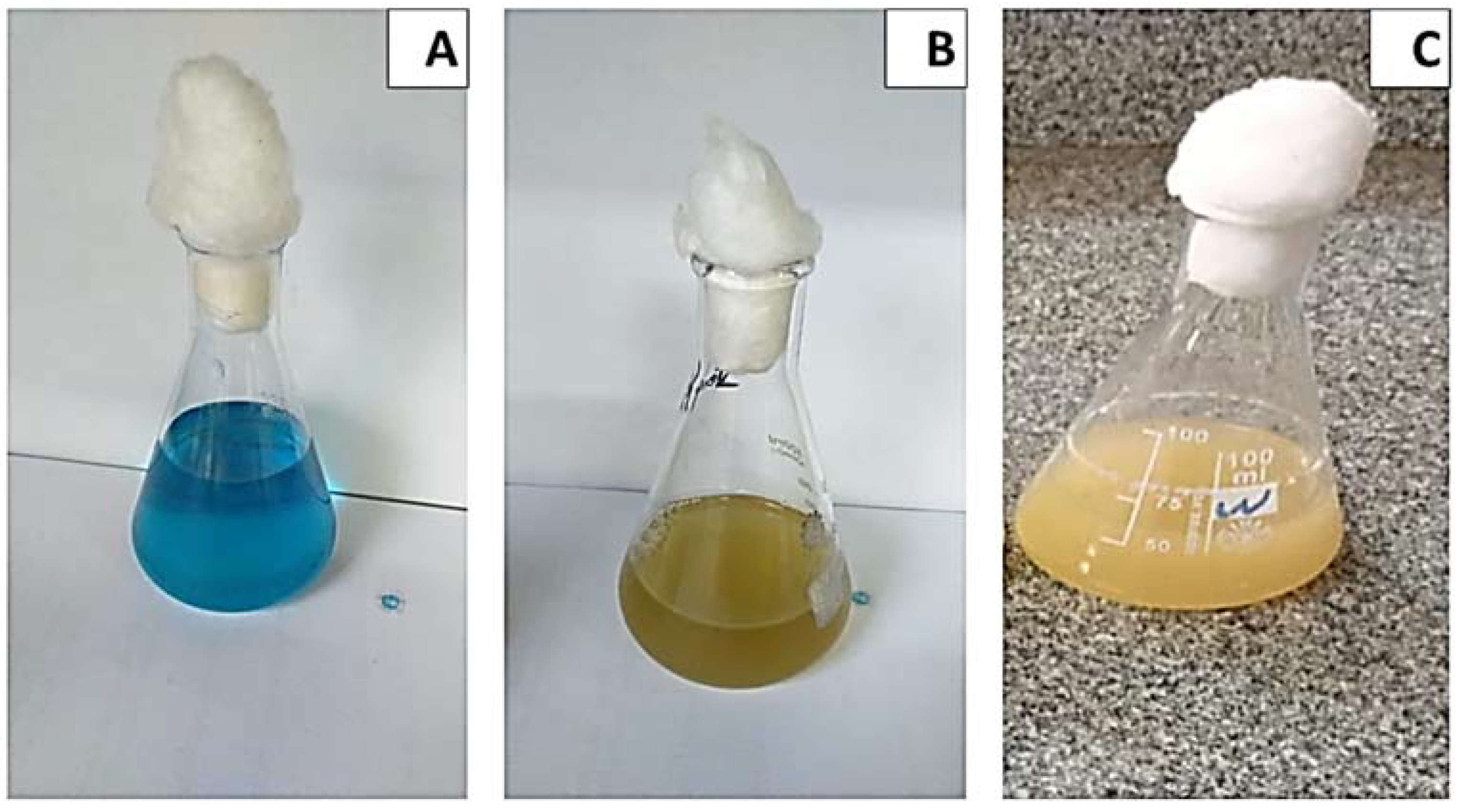 Molecules 27 06456 g003