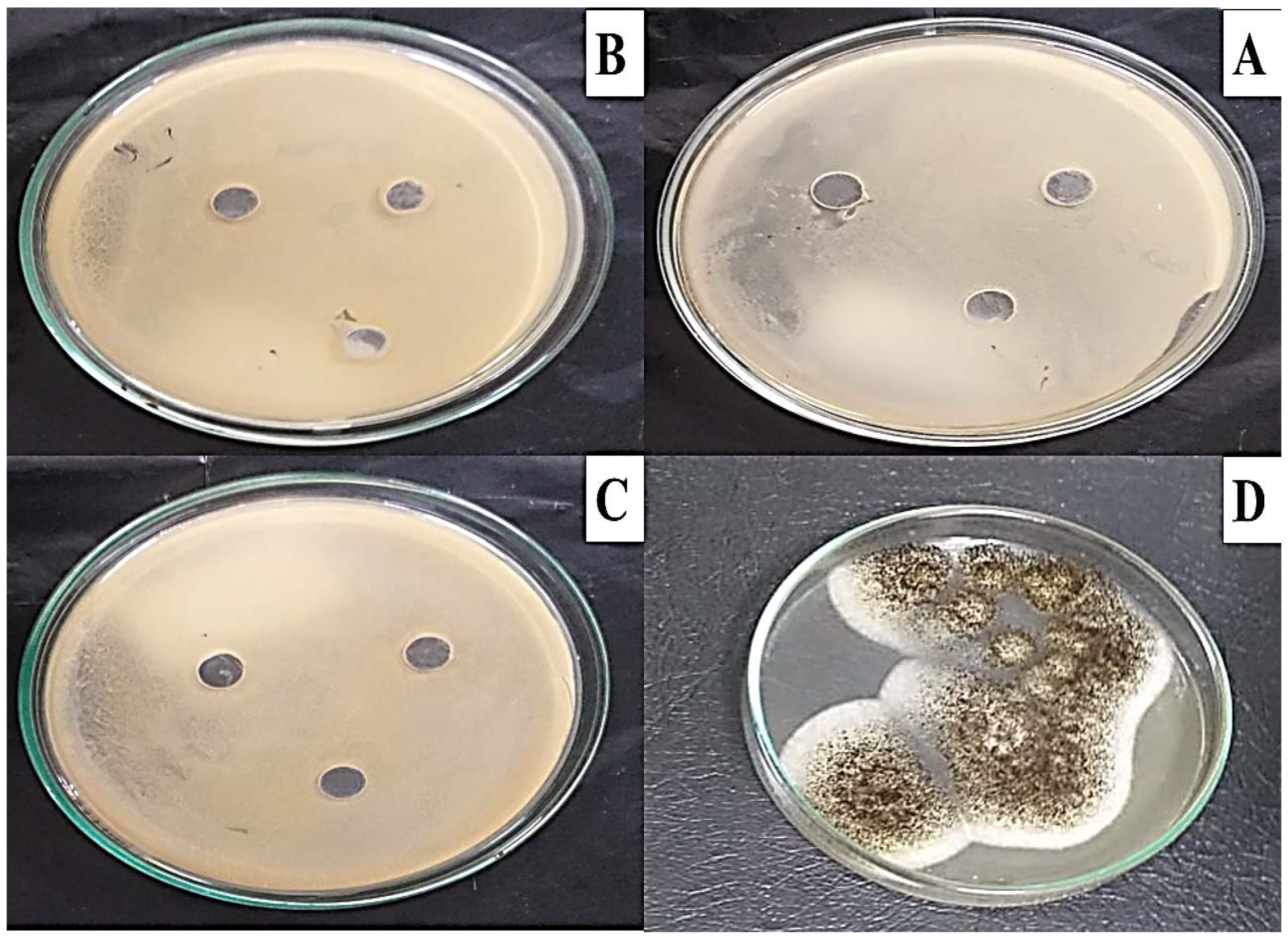 Molecules 27 06456 g009