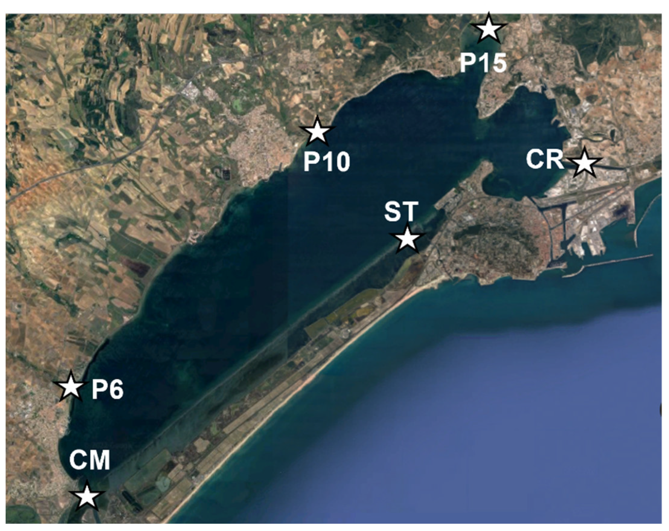 Molecules 27 06462 g006 Molecules 27 06462 g006