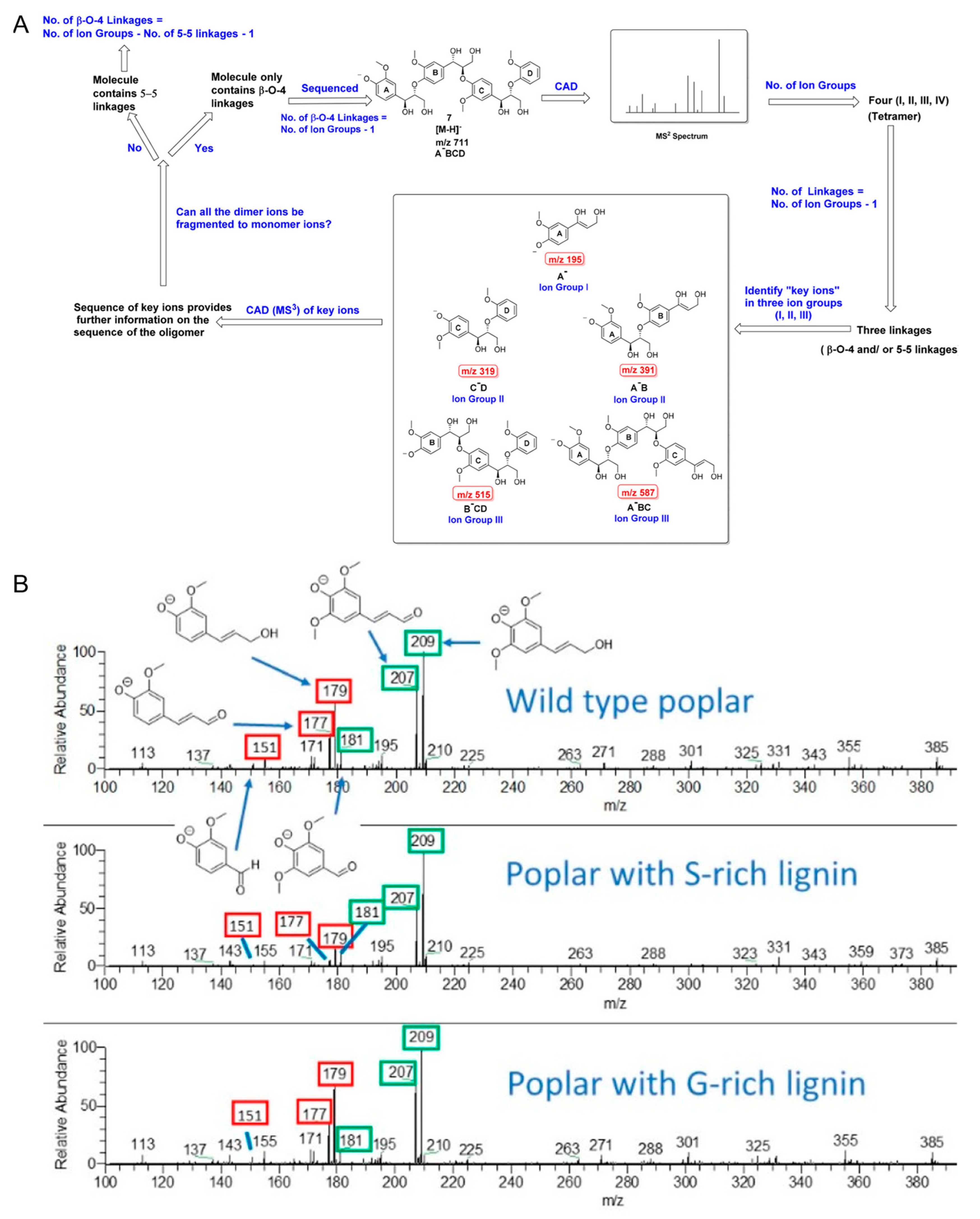 Molecules 27 06466 g010 Molecules 27 06466 g010