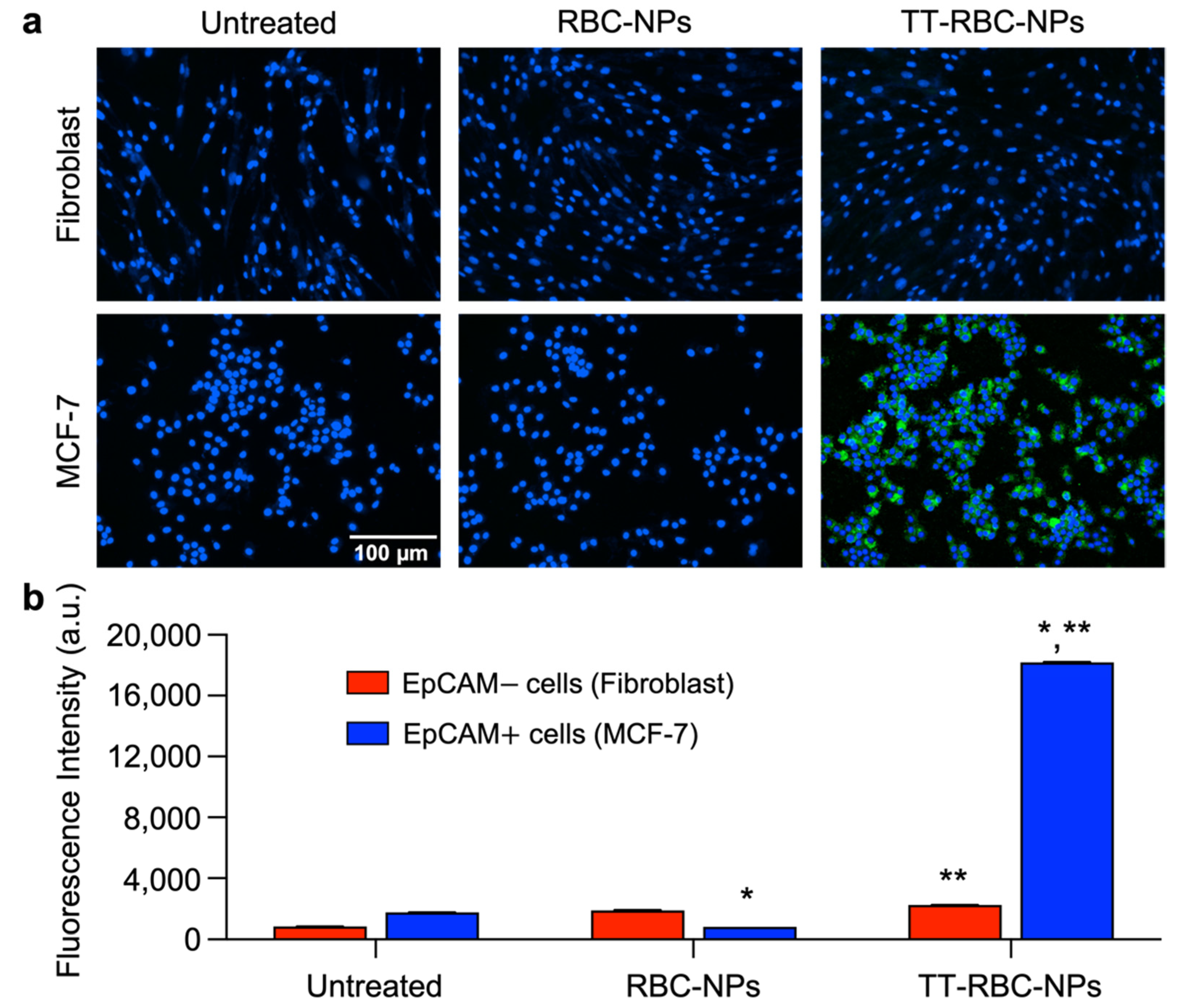 Molecules 27 06473 g007