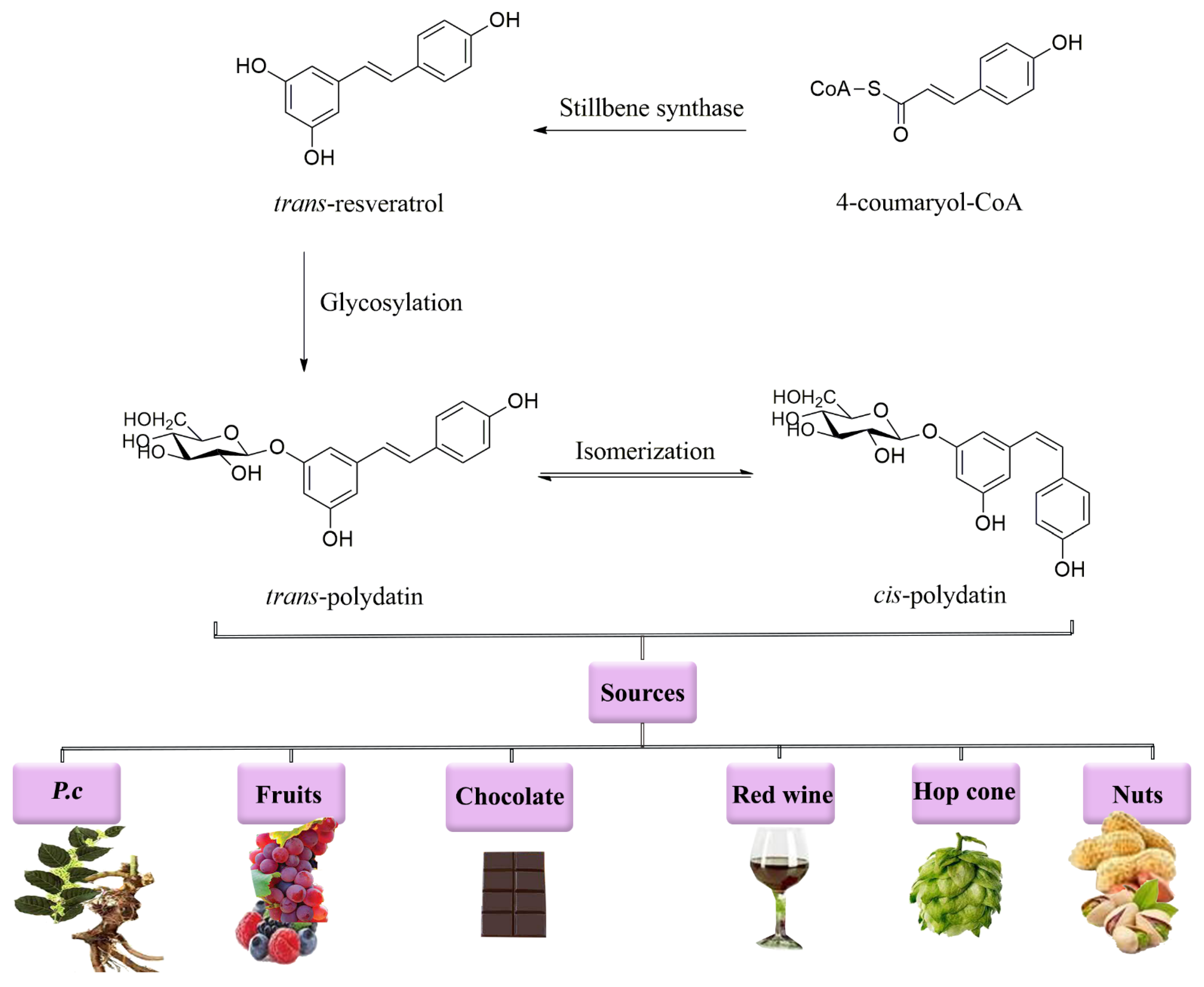 Molecules 27 06474 g001 Molecules 27 06474 g001