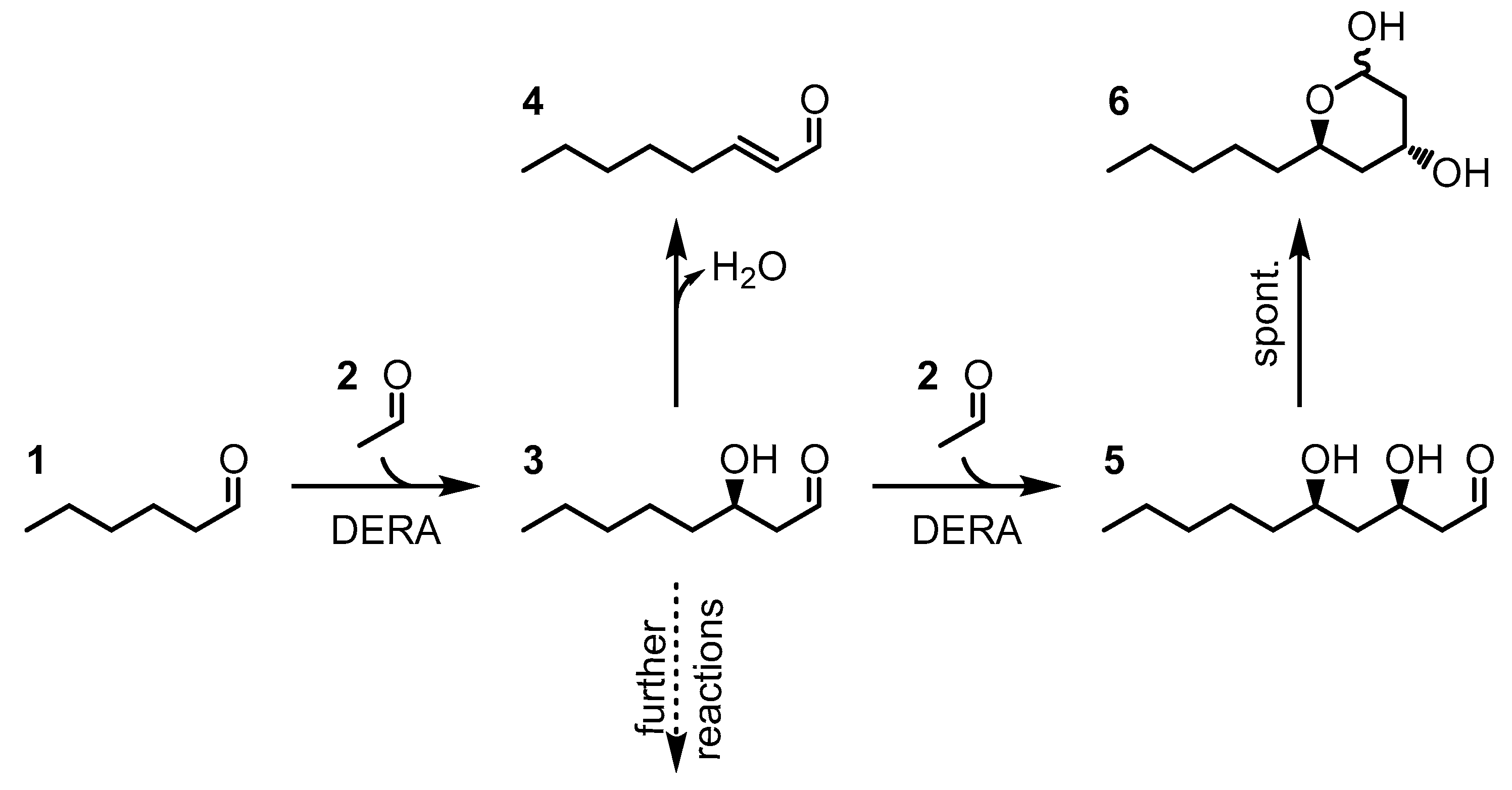 Molecules 27 06483 g001 Molecules 27 06483 g001