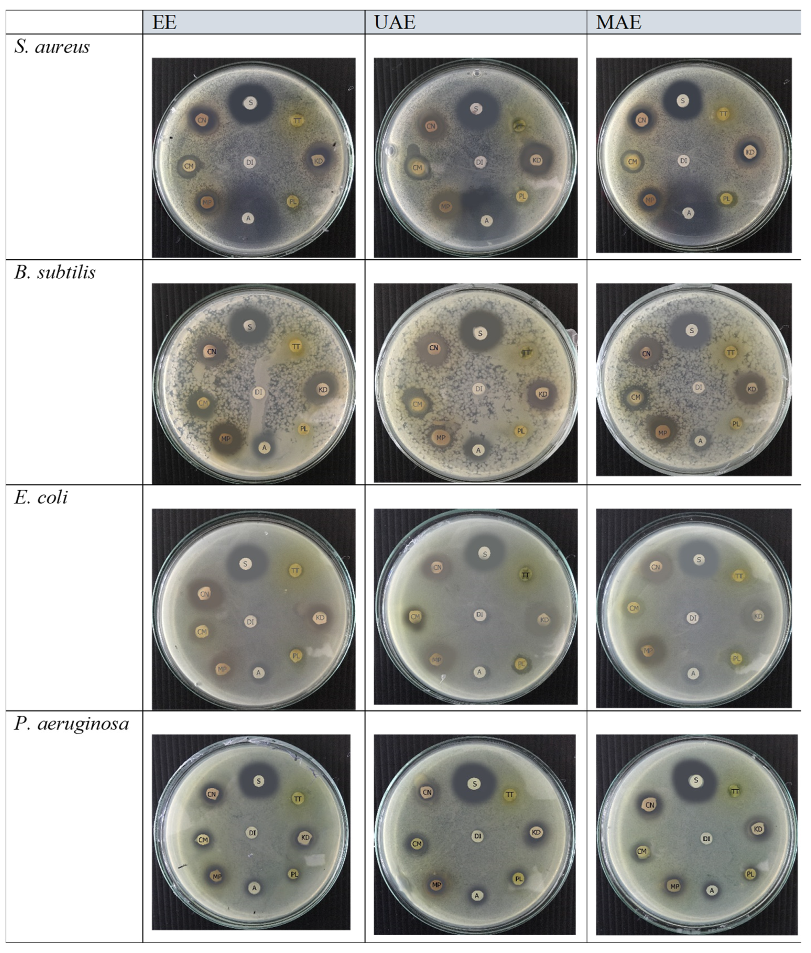 Molecules 27 06489 g004 Molecules 27 06489 g004