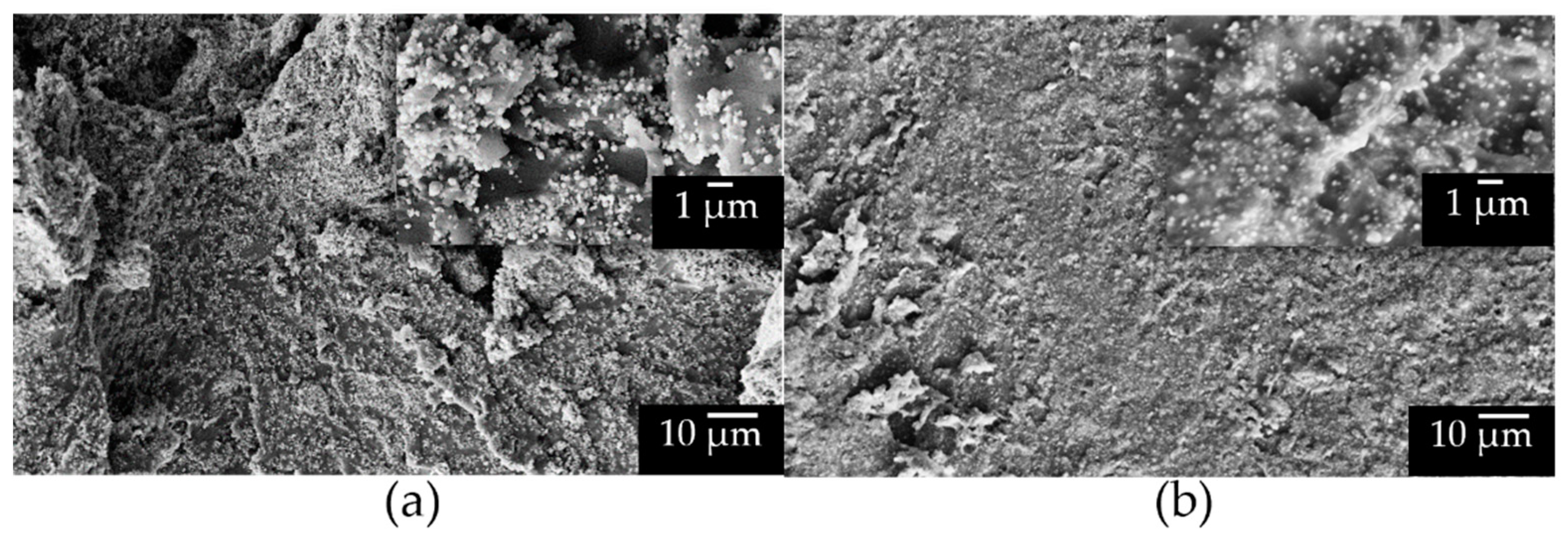 Molecules 27 06499 g006 Molecules 27 06499 g006