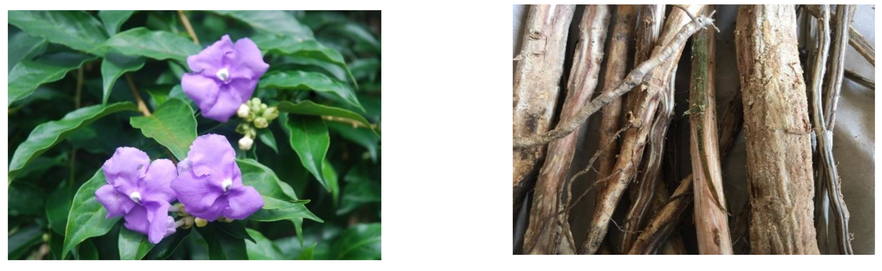 Molecules 27 06510 g001 Molecules 27 06510 g001