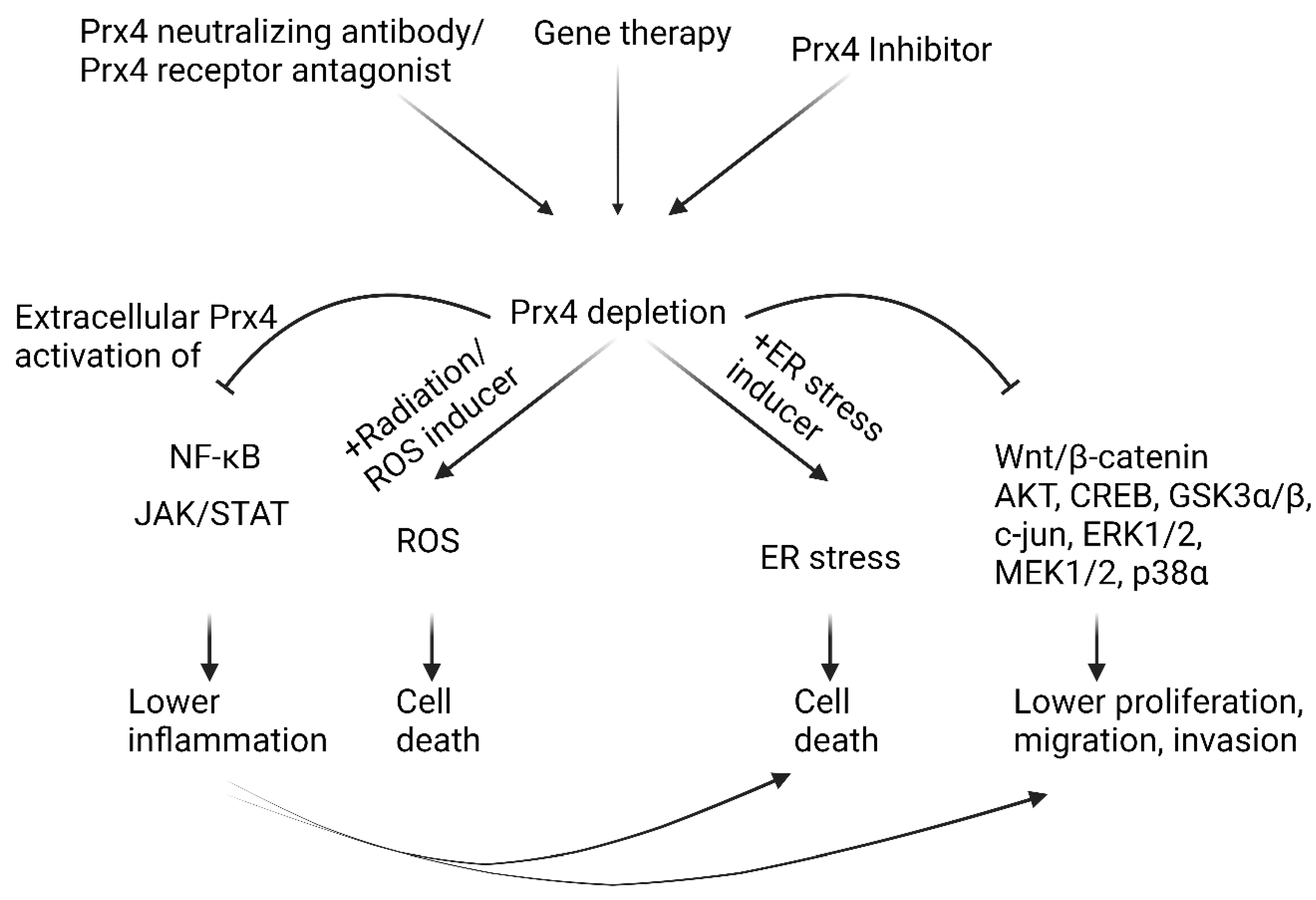 Molecules 27 06513 g006 Molecules 27 06513 g006