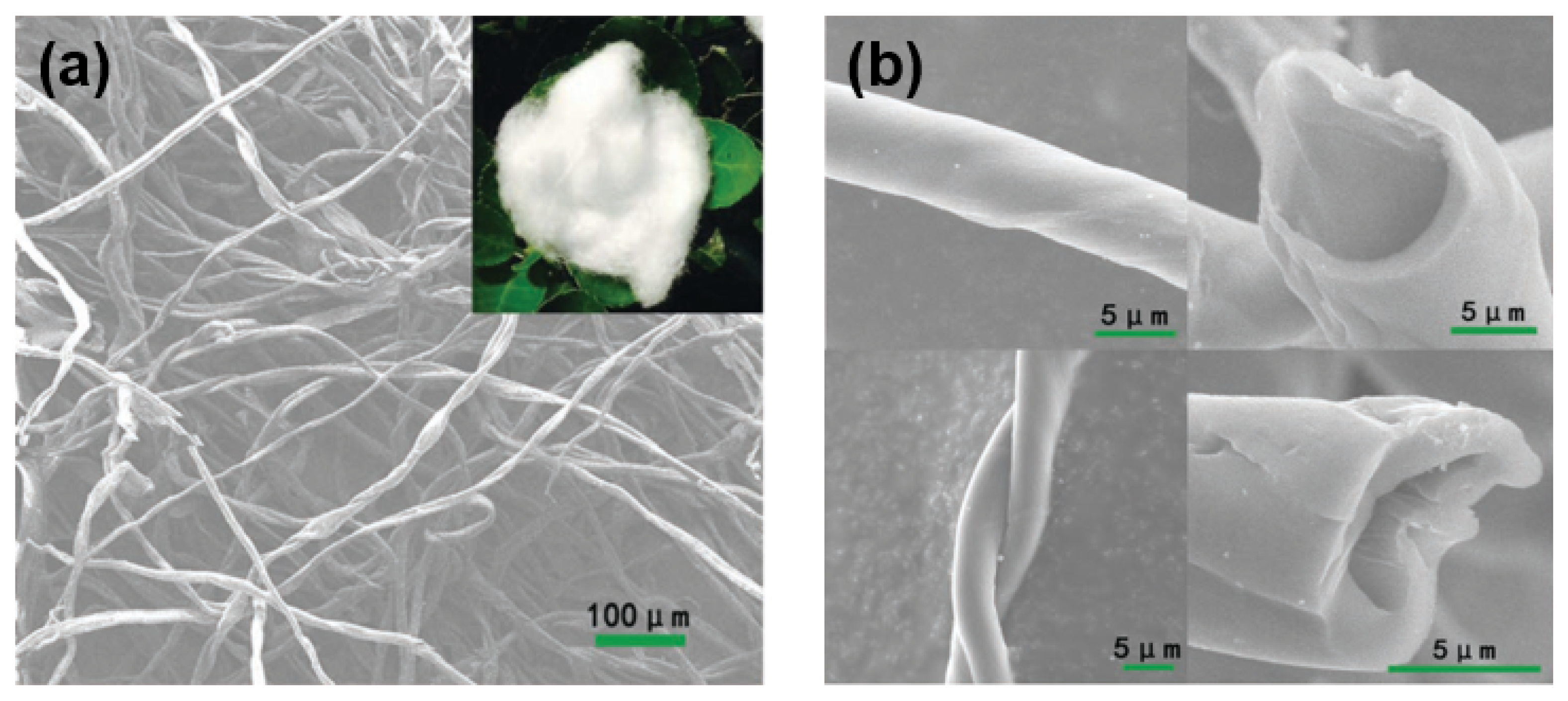 Molecules 27 06516 g013 Molecules 27 06516 g013