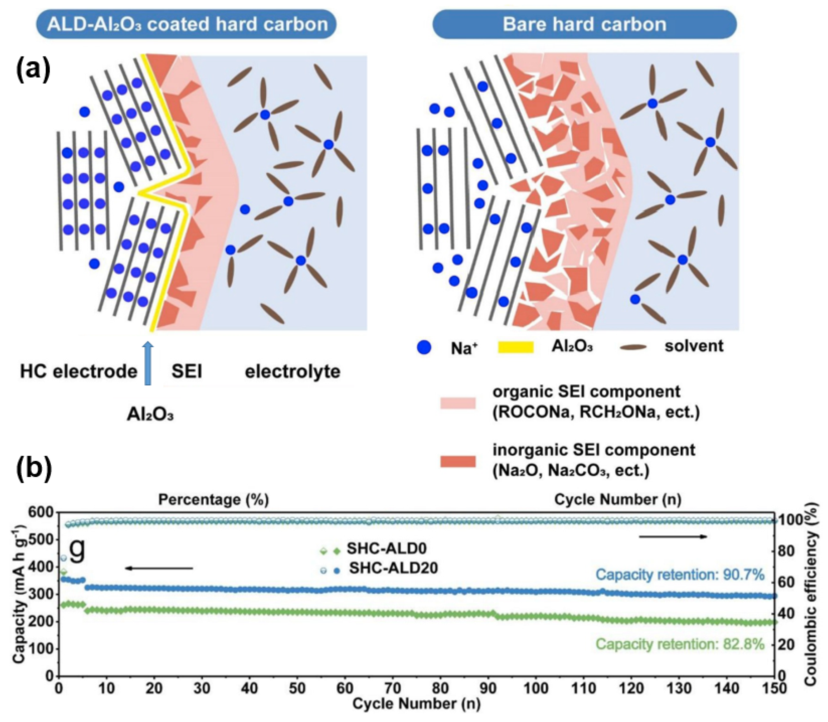 Molecules 27 06516 g015 Molecules 27 06516 g015