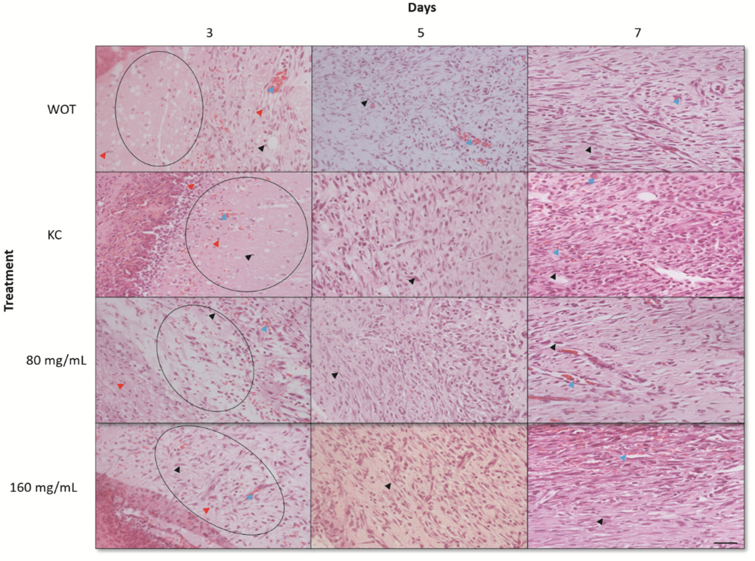 Molecules 27 06521 g004 Molecules 27 06521 g004
