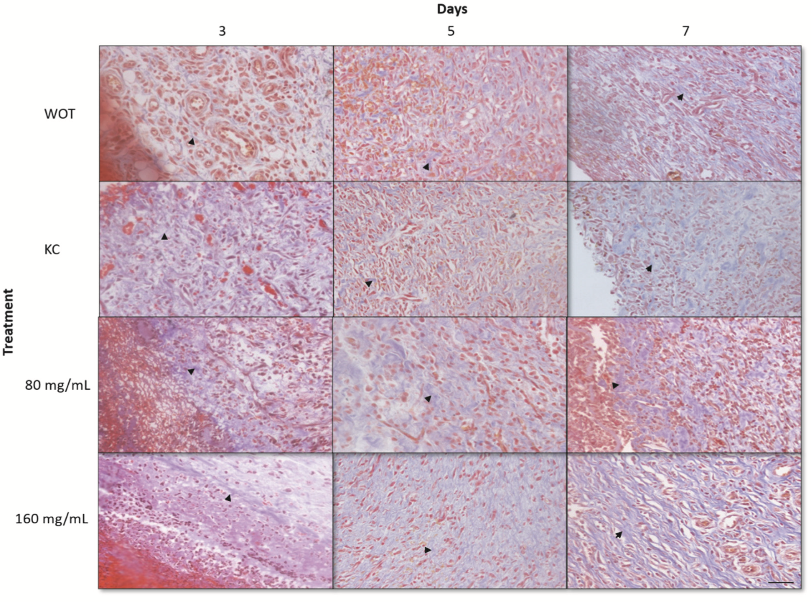 Molecules 27 06521 g005 Molecules 27 06521 g005