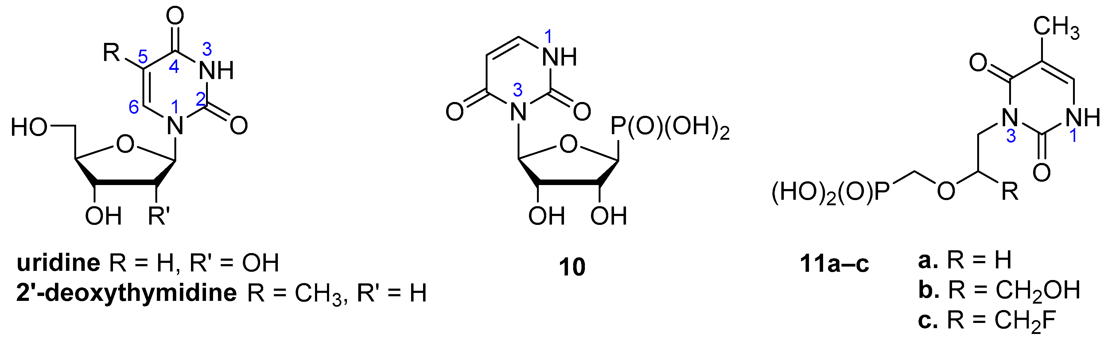 Molecules 27 06526 g003