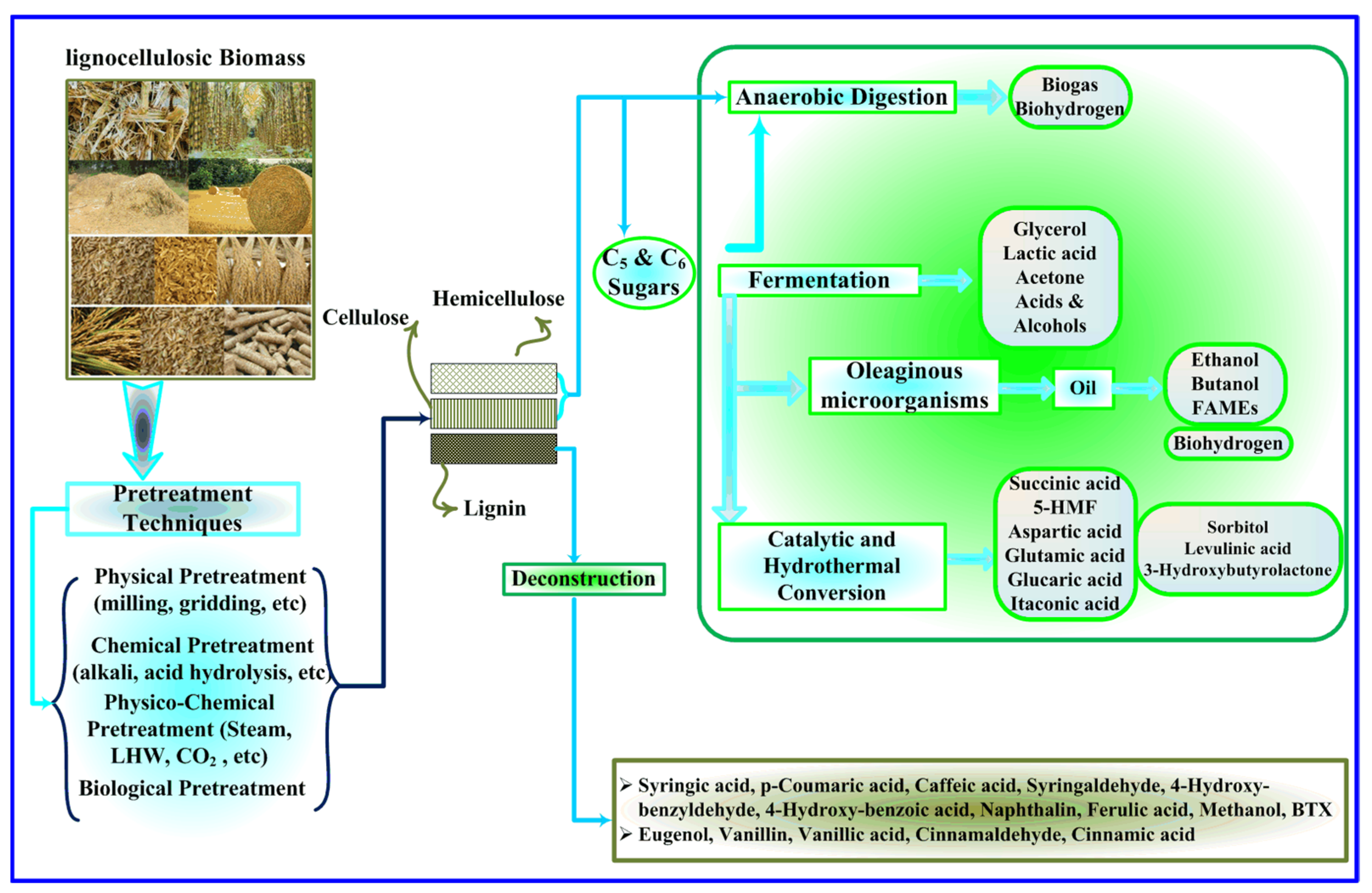 Molecules 27 06540 g001 Molecules 27 06540 g001