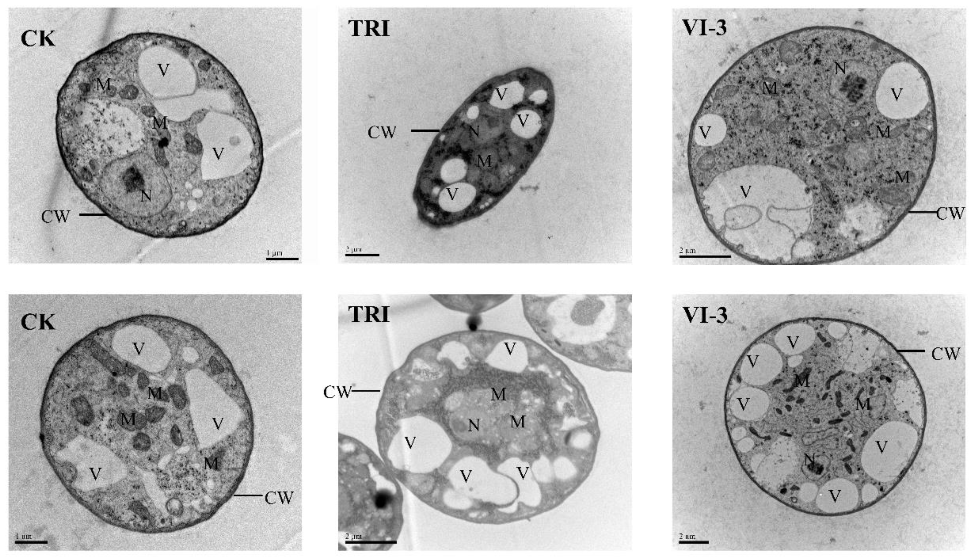 Molecules 27 06541 g002