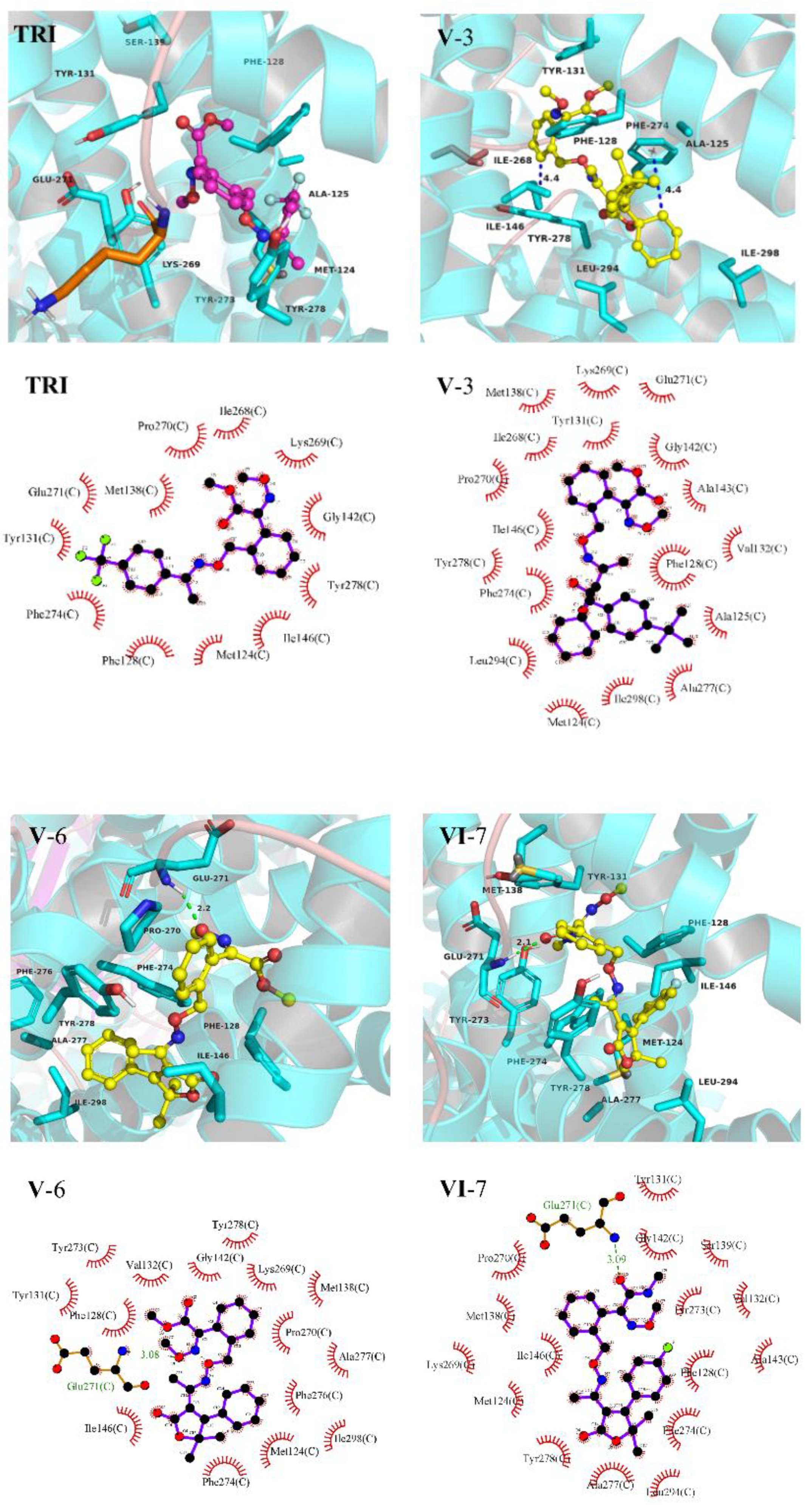 Molecules 27 06541 g004